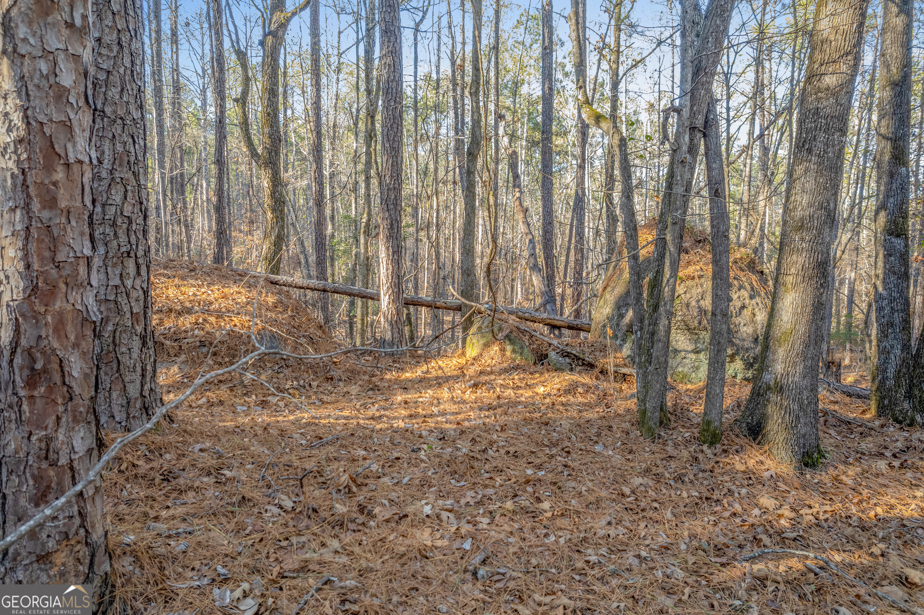 119 Sibley Road NE Milledgeville GA 31061
