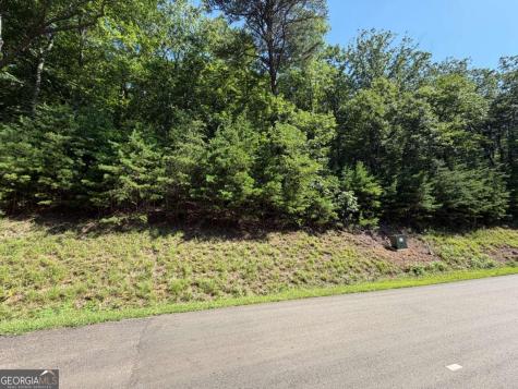 233 Stone Cliff Drive Ellijay GA 30033