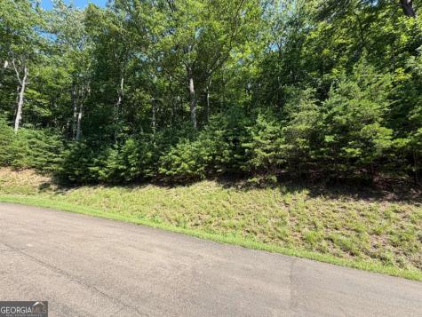 233 Stone Cliff Drive Ellijay GA 30033