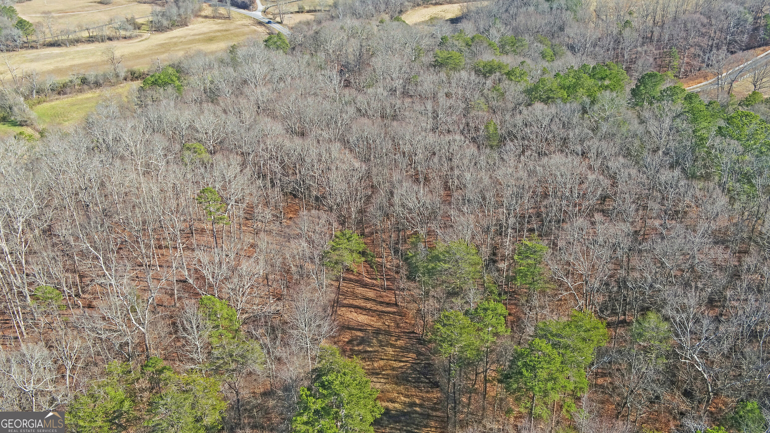 4431 Jim Hood Road Gainesville GA 30506