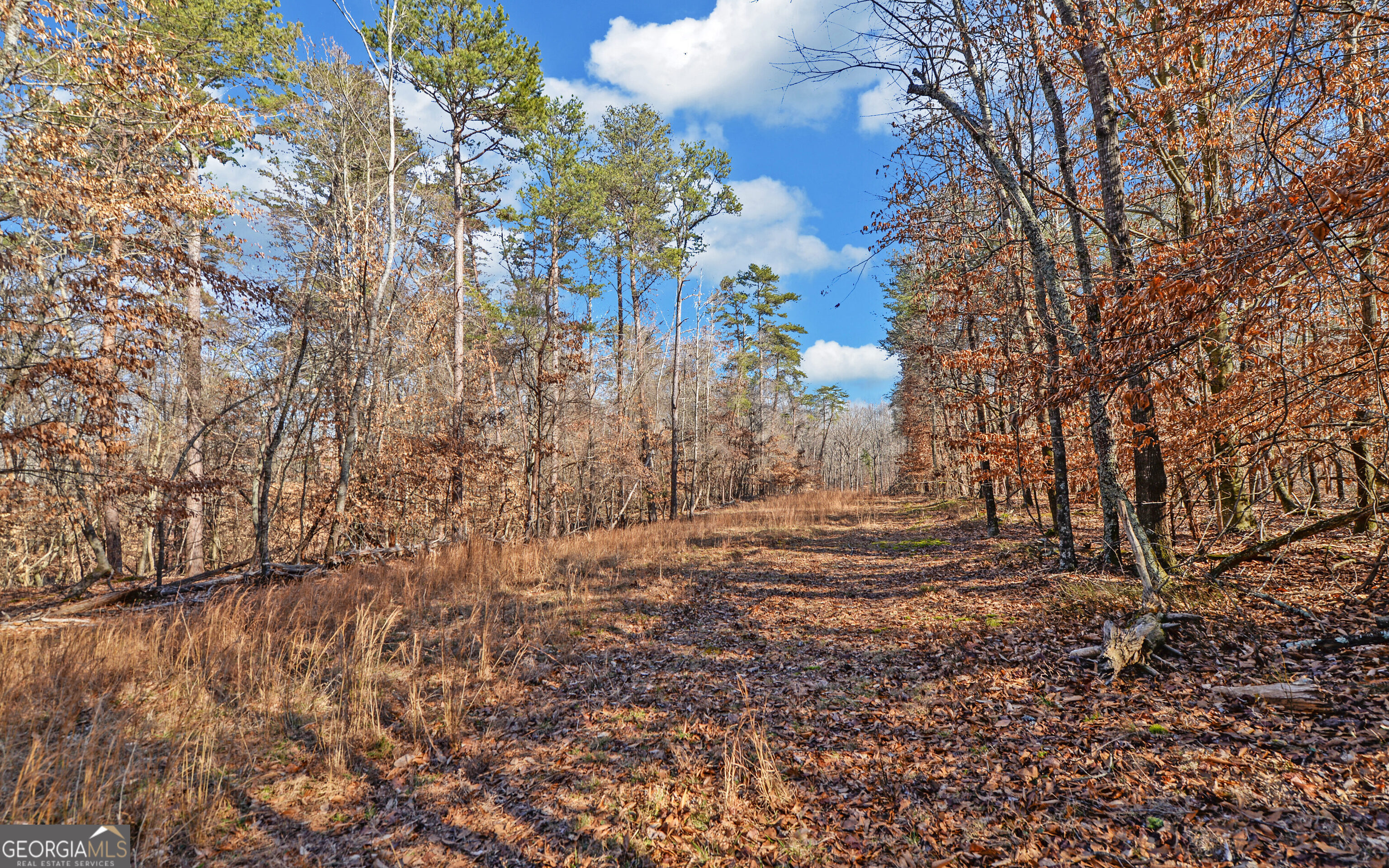 4431 Jim Hood Road Gainesville GA 30506