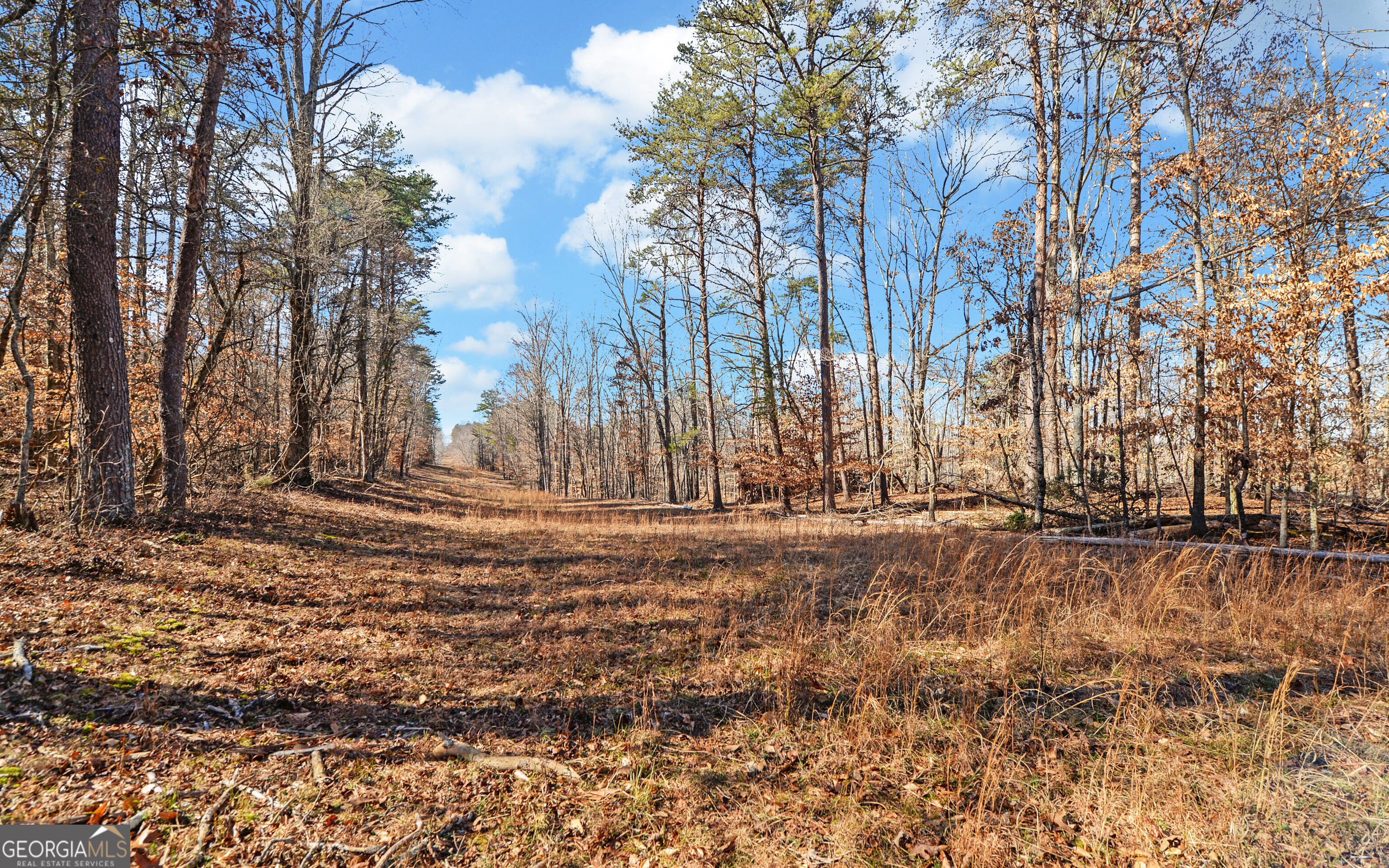 4431 Jim Hood Road Gainesville GA 30506