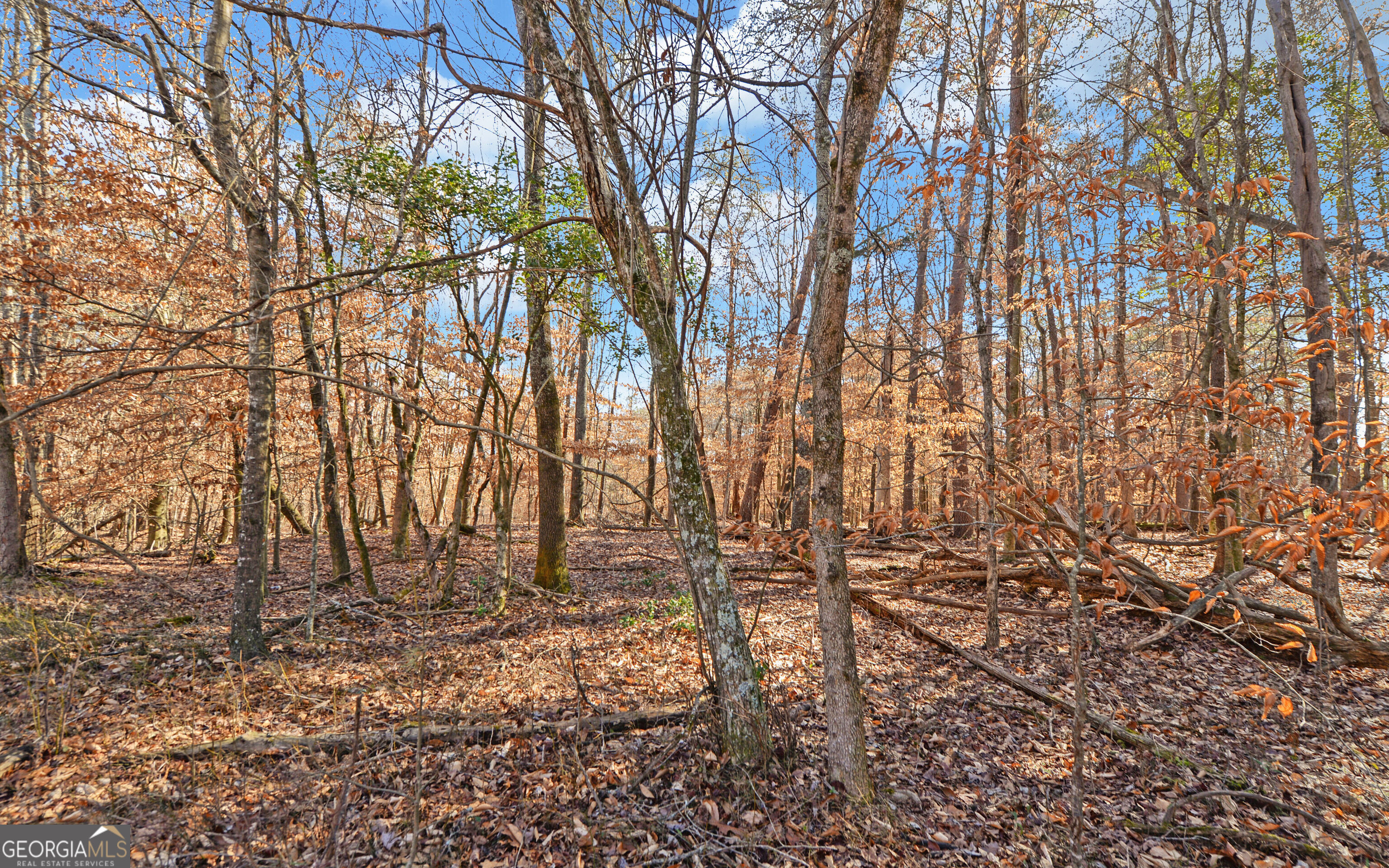 4431 Jim Hood Road Gainesville GA 30506
