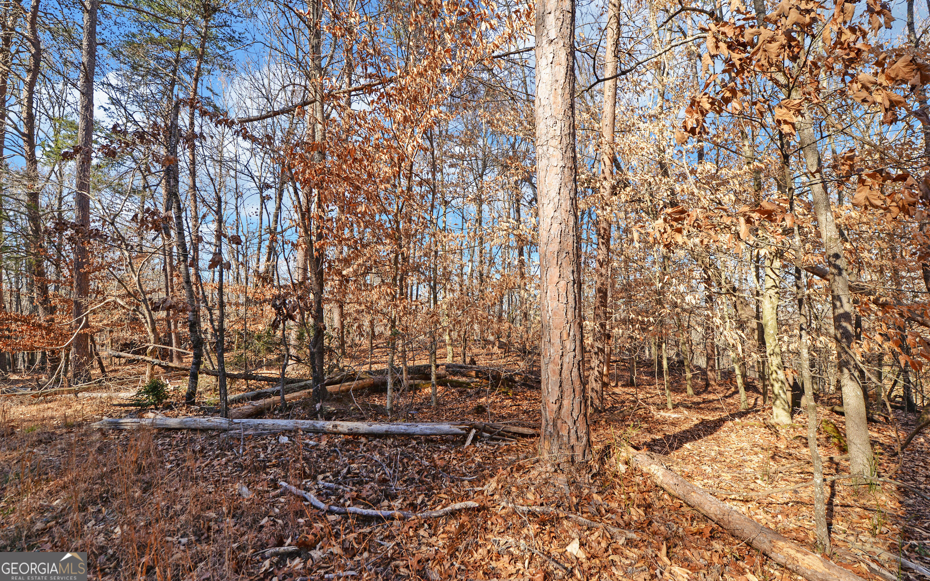 4431 Jim Hood Road Gainesville GA 30506
