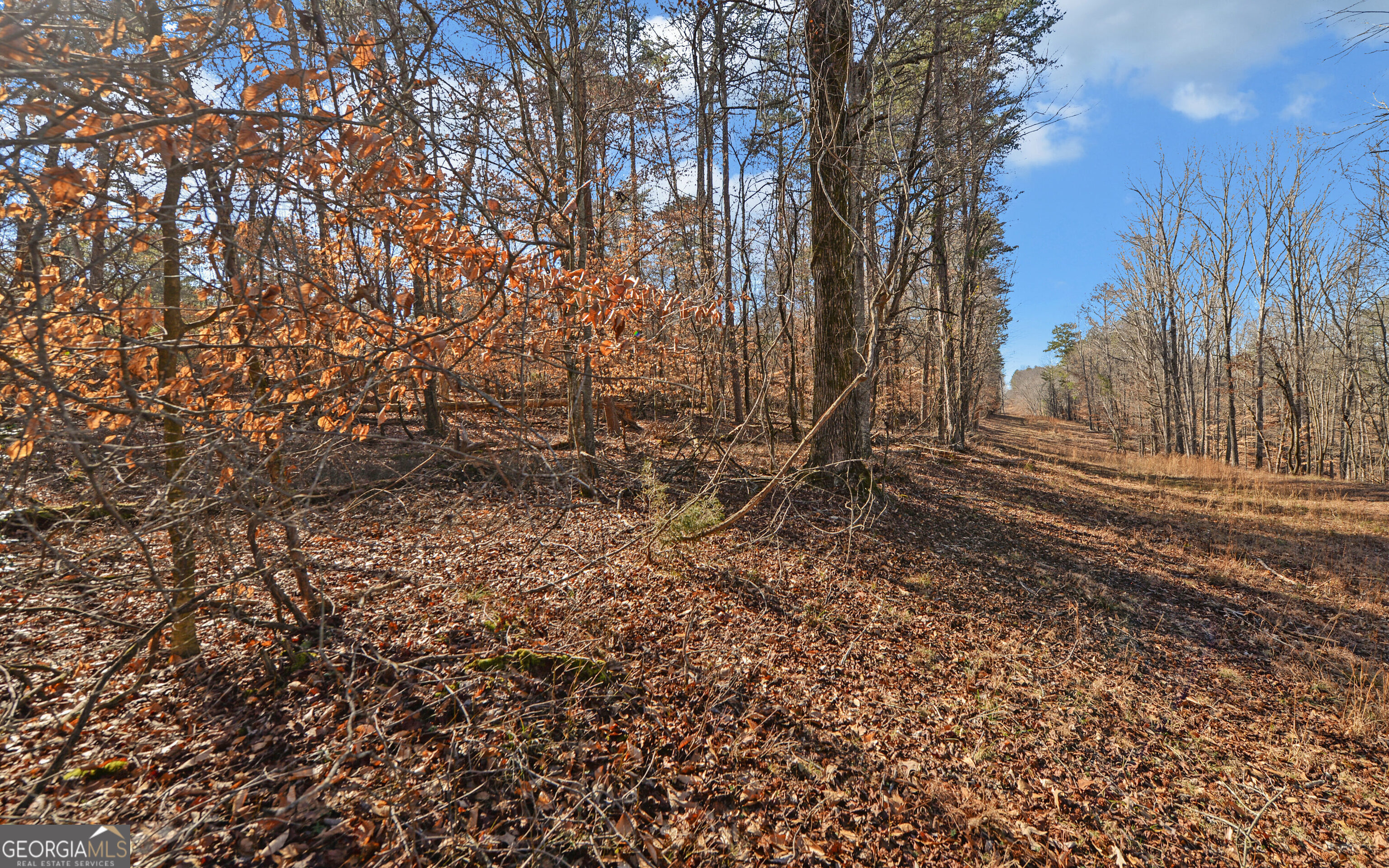 4431 Jim Hood Road Gainesville GA 30506