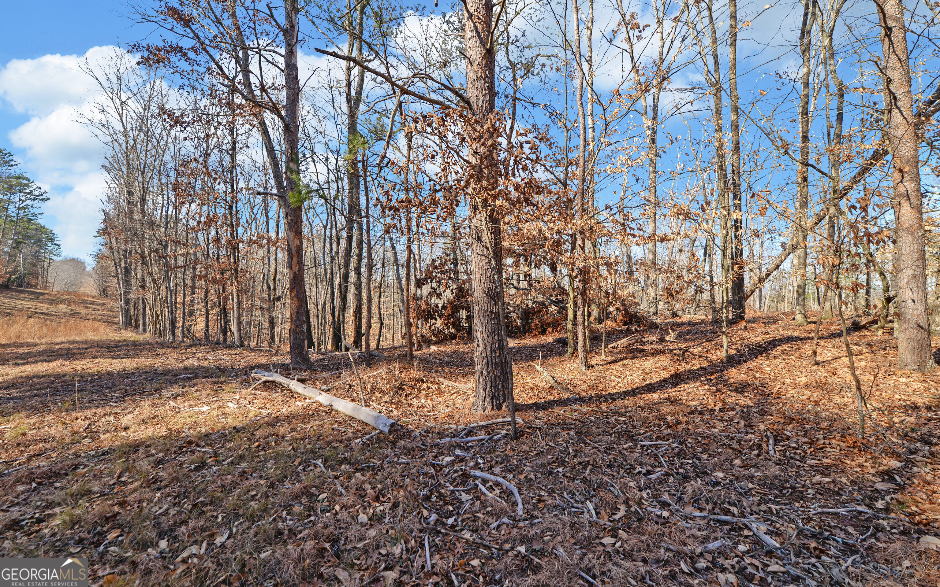 4431 Jim Hood Road Gainesville GA 30506