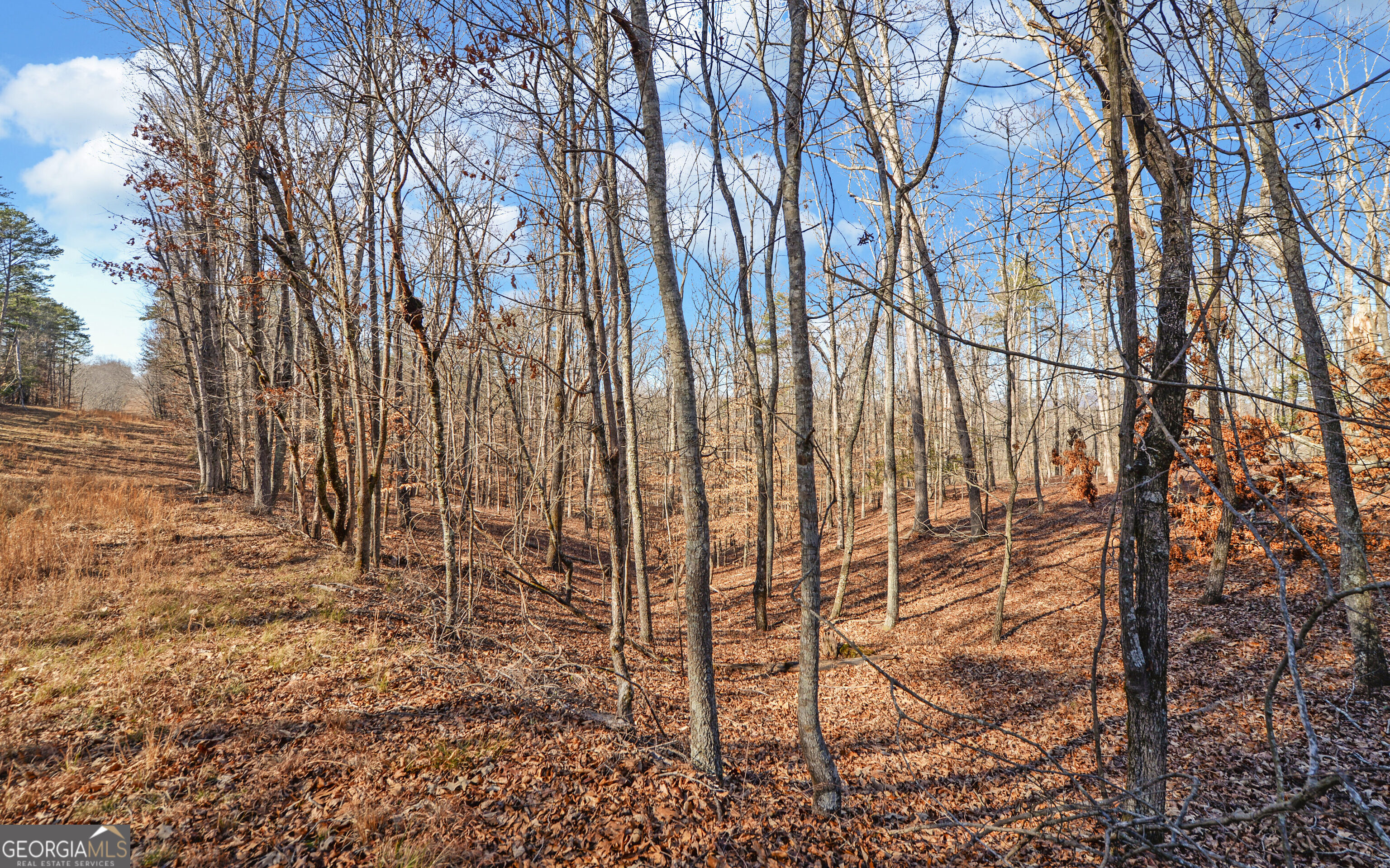 4431 Jim Hood Road Gainesville GA 30506