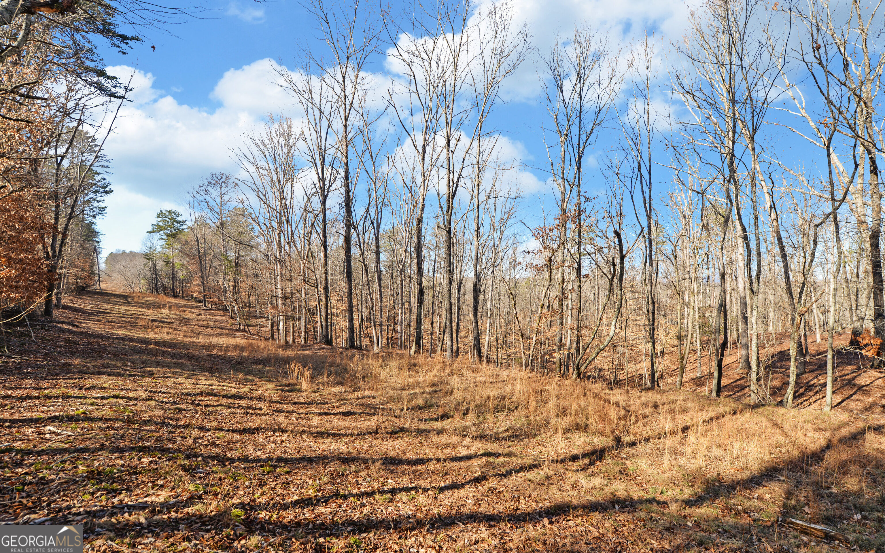 4431 Jim Hood Road Gainesville GA 30506