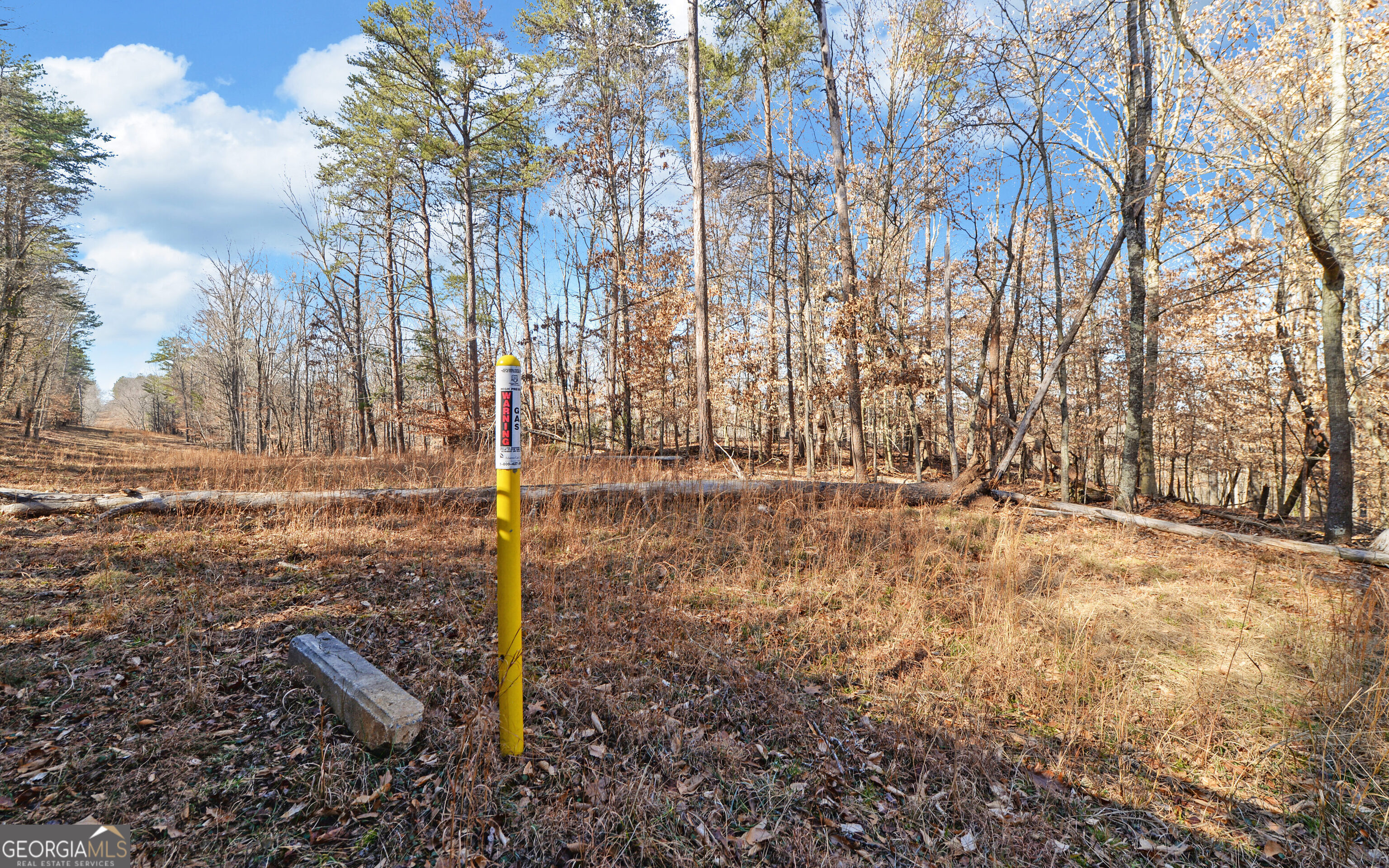 4431 Jim Hood Road Gainesville GA 30506