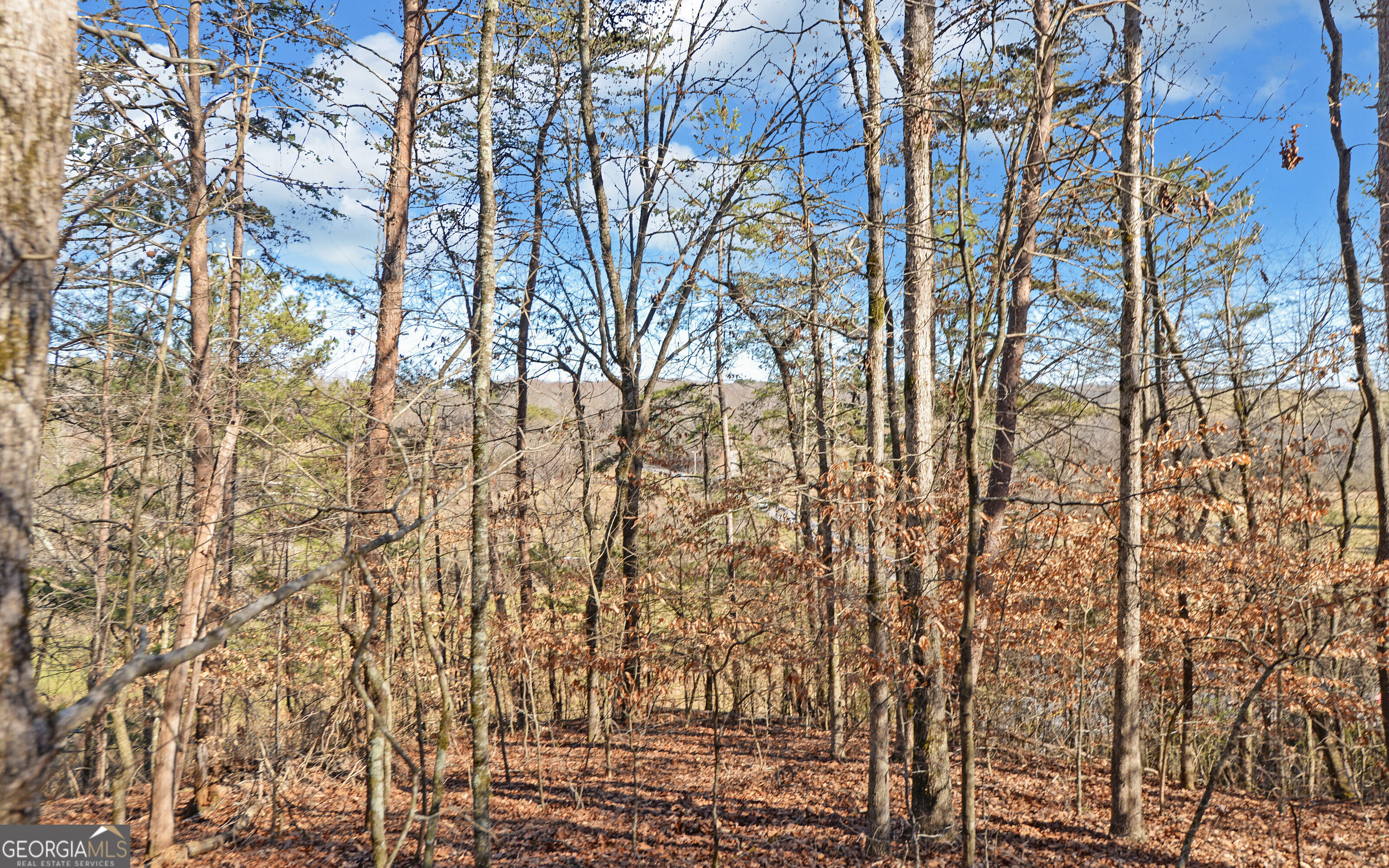 4431 Jim Hood Road Gainesville GA 30506