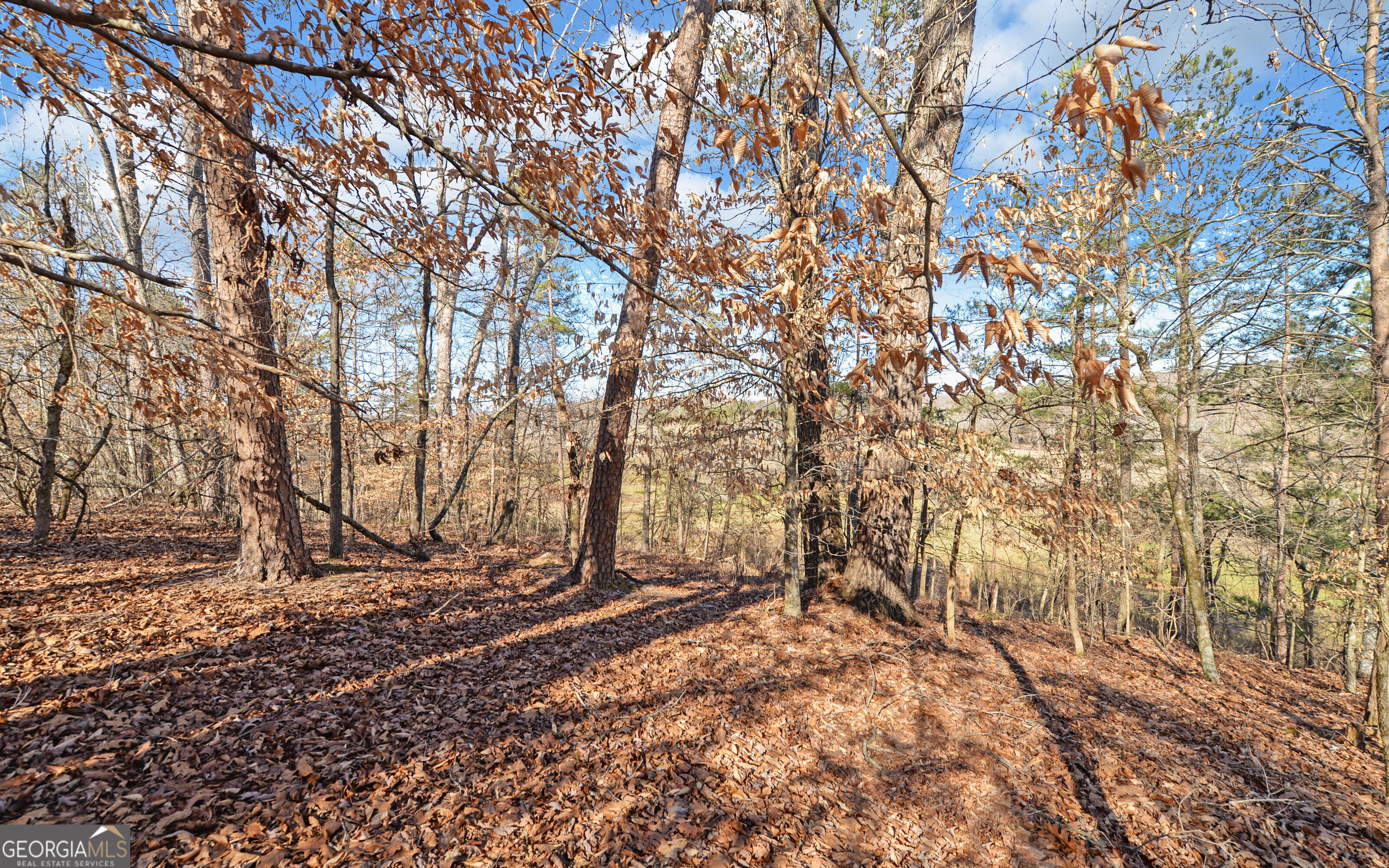 4431 Jim Hood Road Gainesville GA 30506
