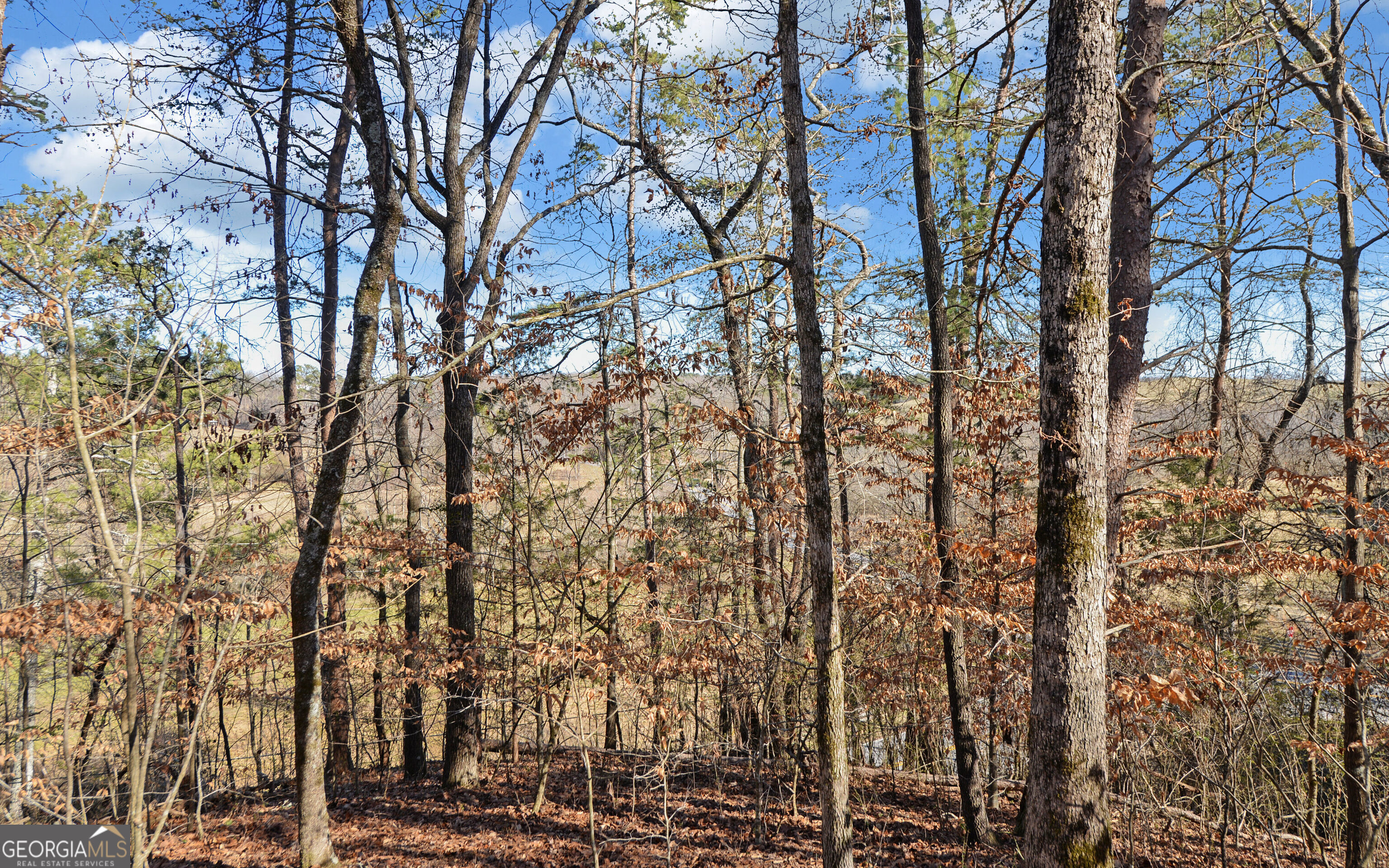 4431 Jim Hood Road Gainesville GA 30506