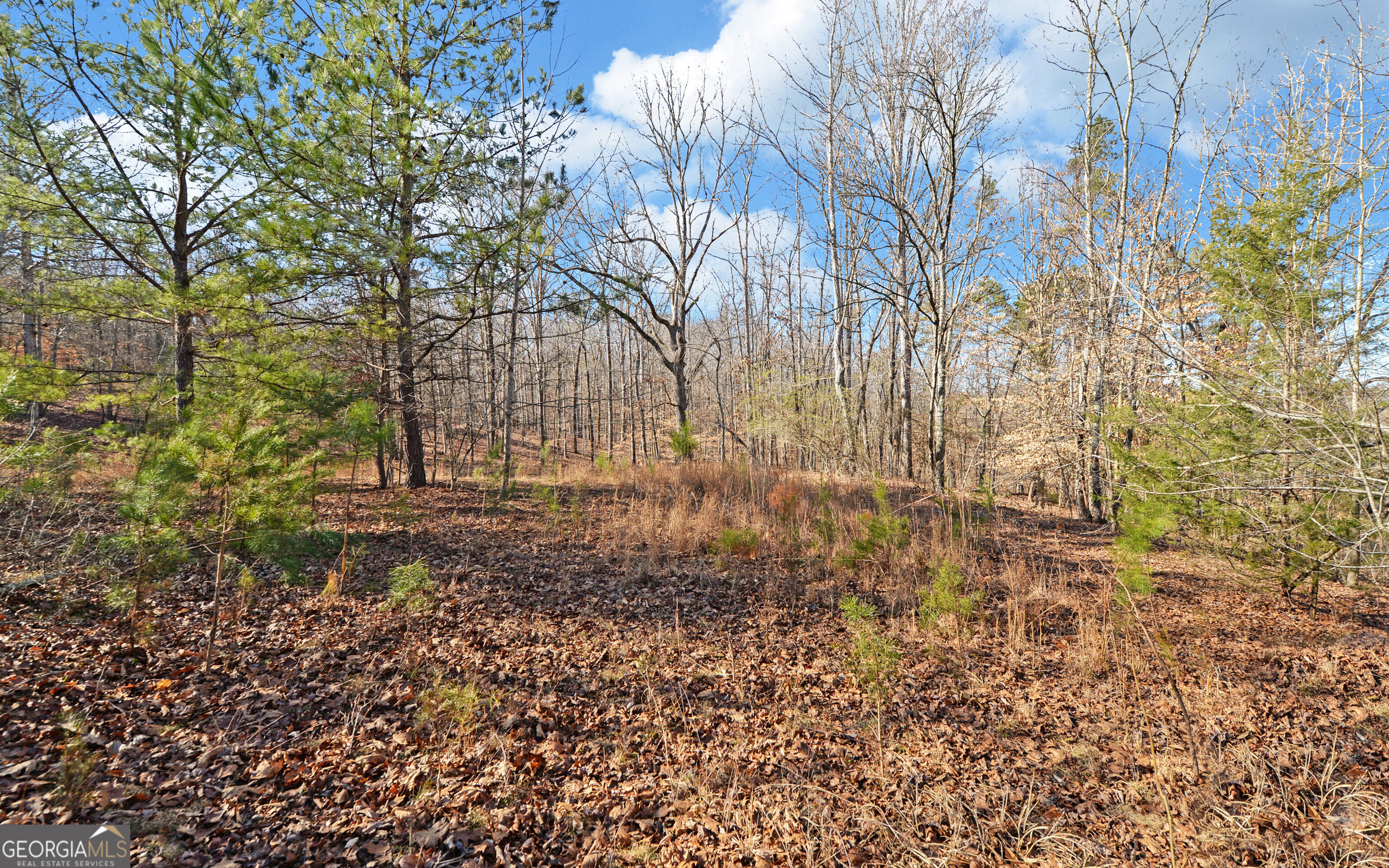4431 Jim Hood Road Gainesville GA 30506