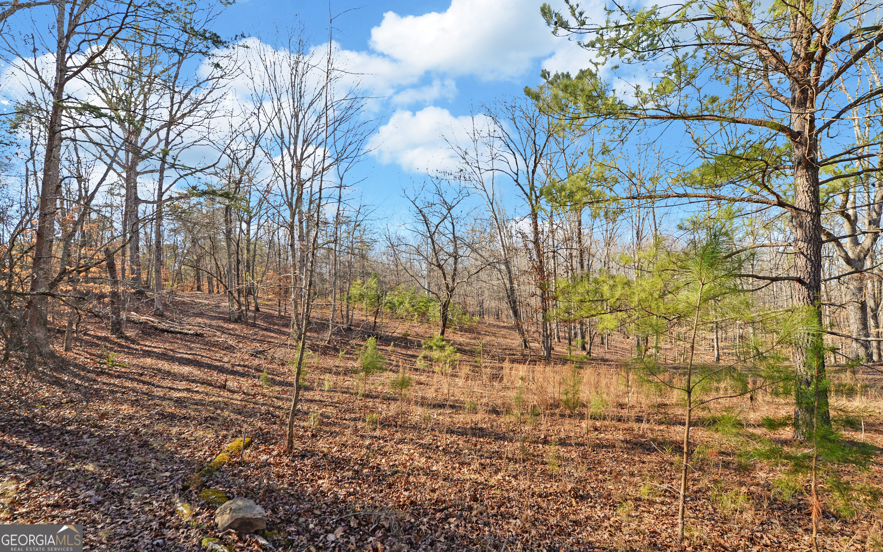 4431 Jim Hood Road Gainesville GA 30506