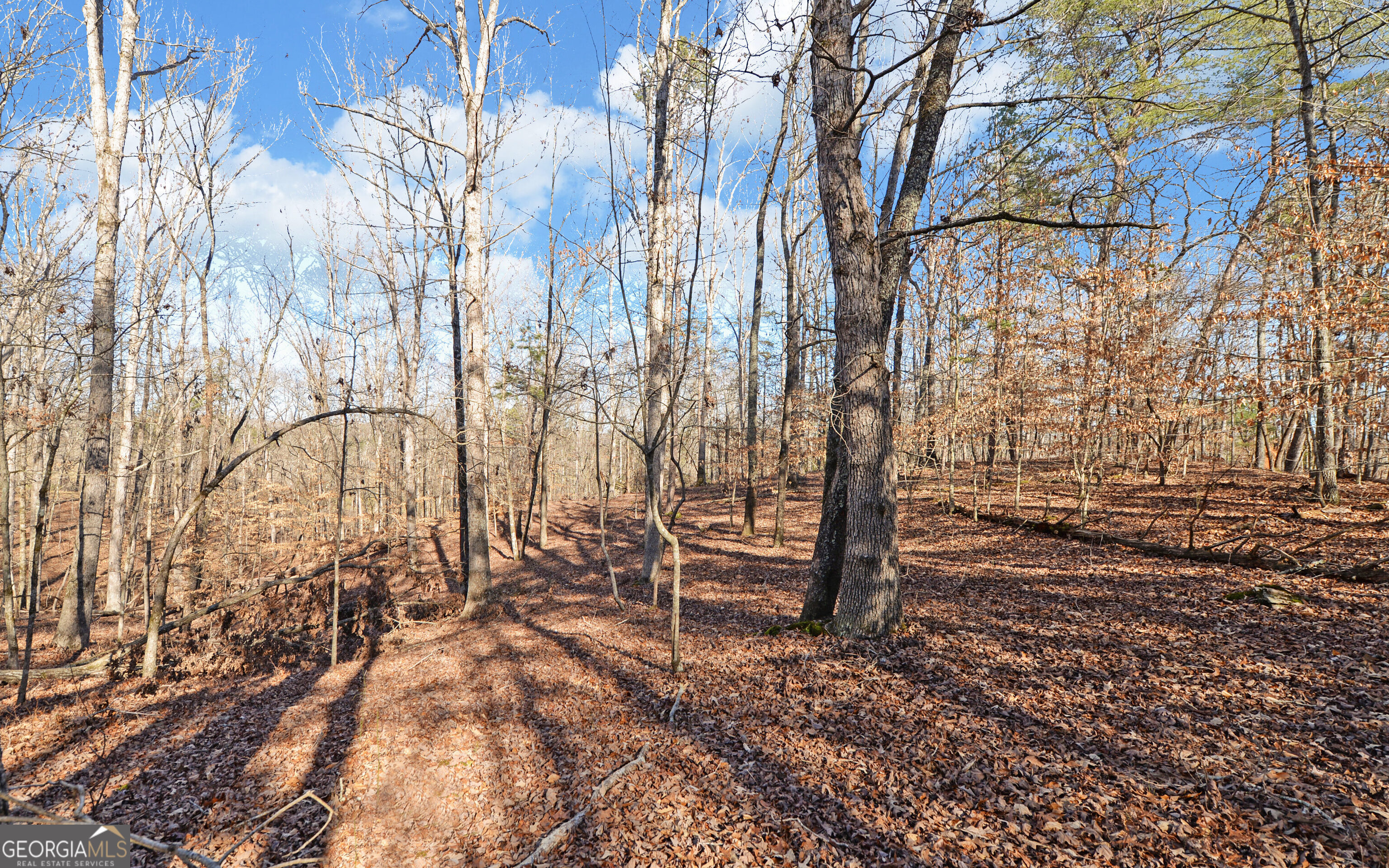 4431 Jim Hood Road Gainesville GA 30506
