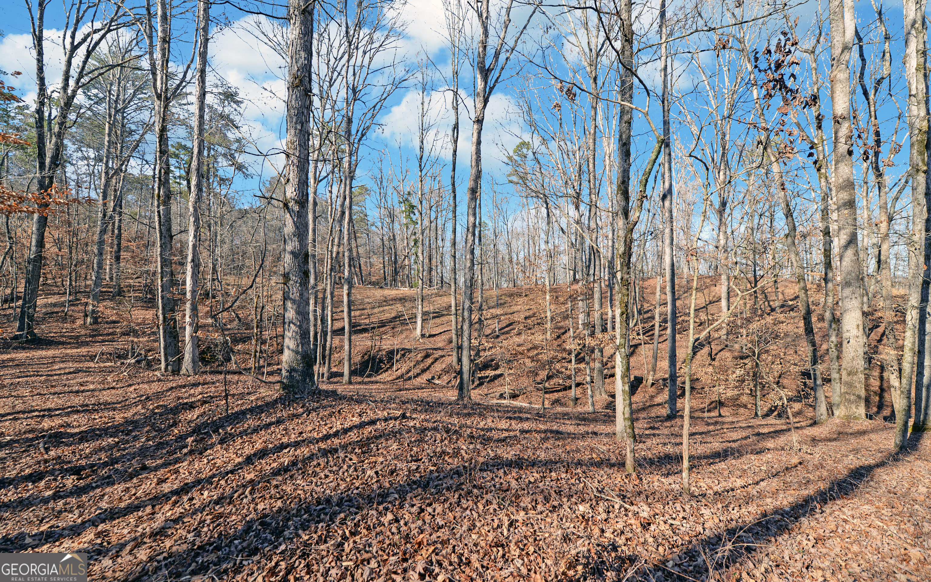 4431 Jim Hood Road Gainesville GA 30506