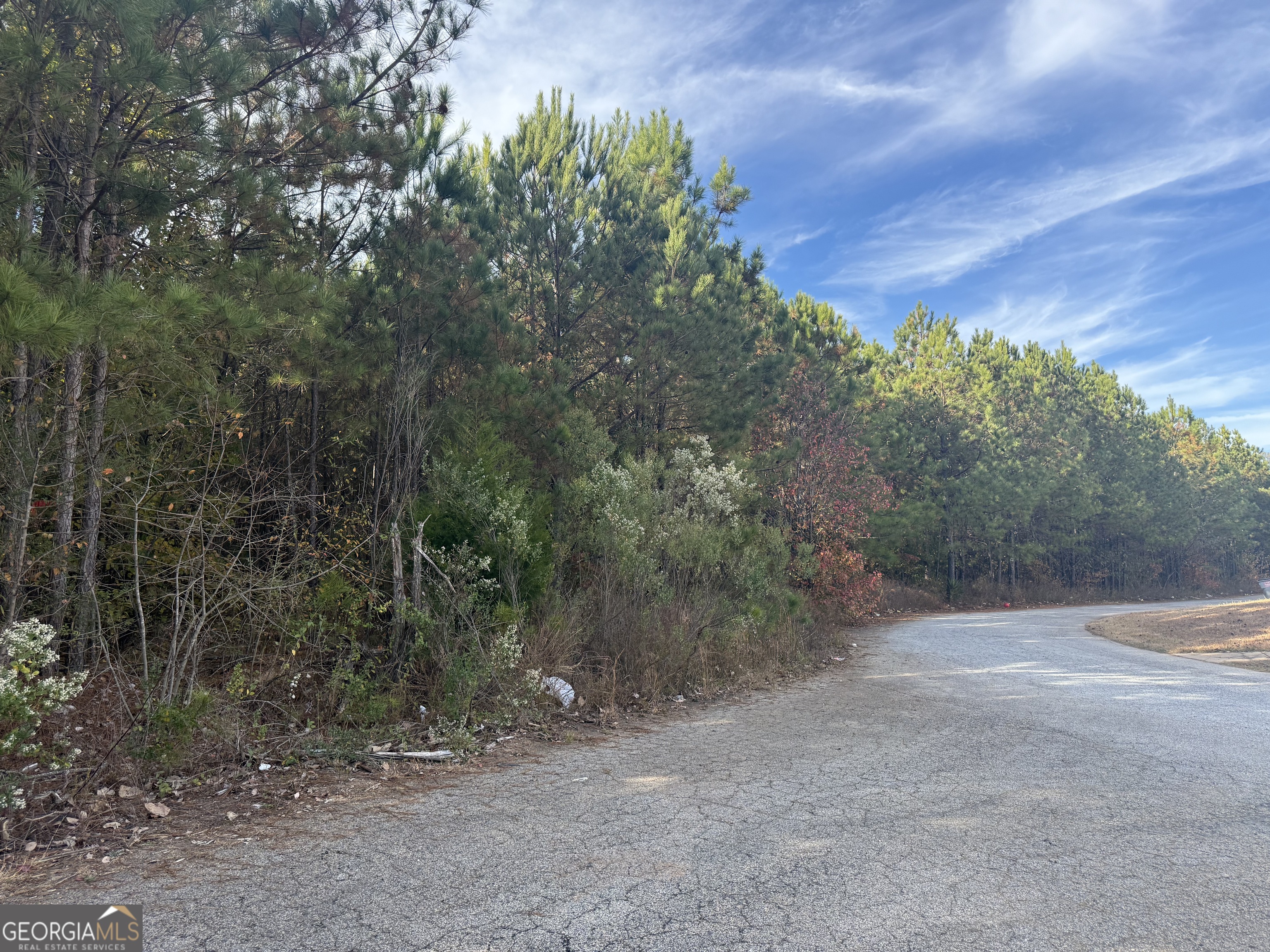 8644 Webb Road Riverdale GA 30274