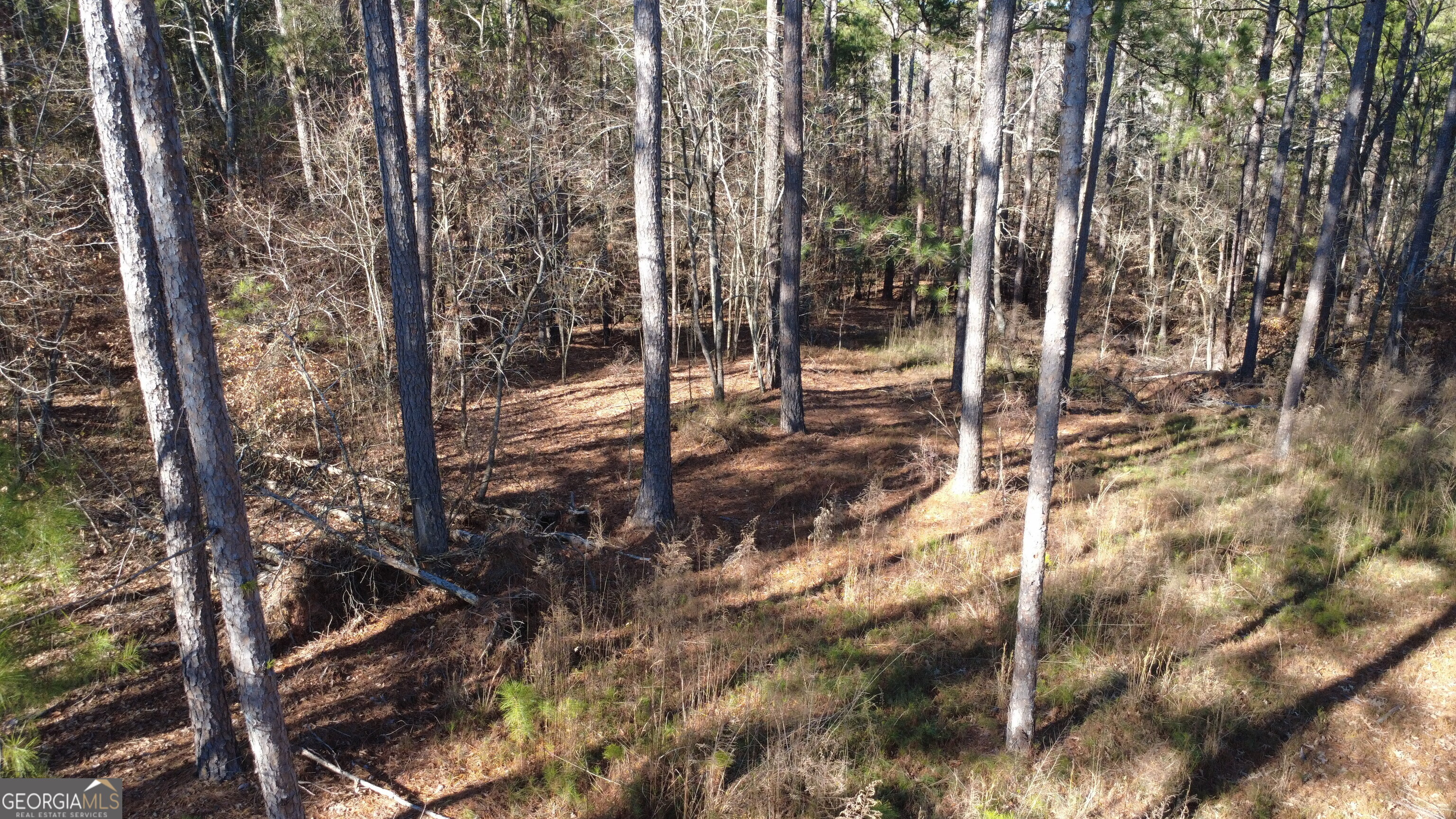 1051 Bluff Road Elberton GA 30635