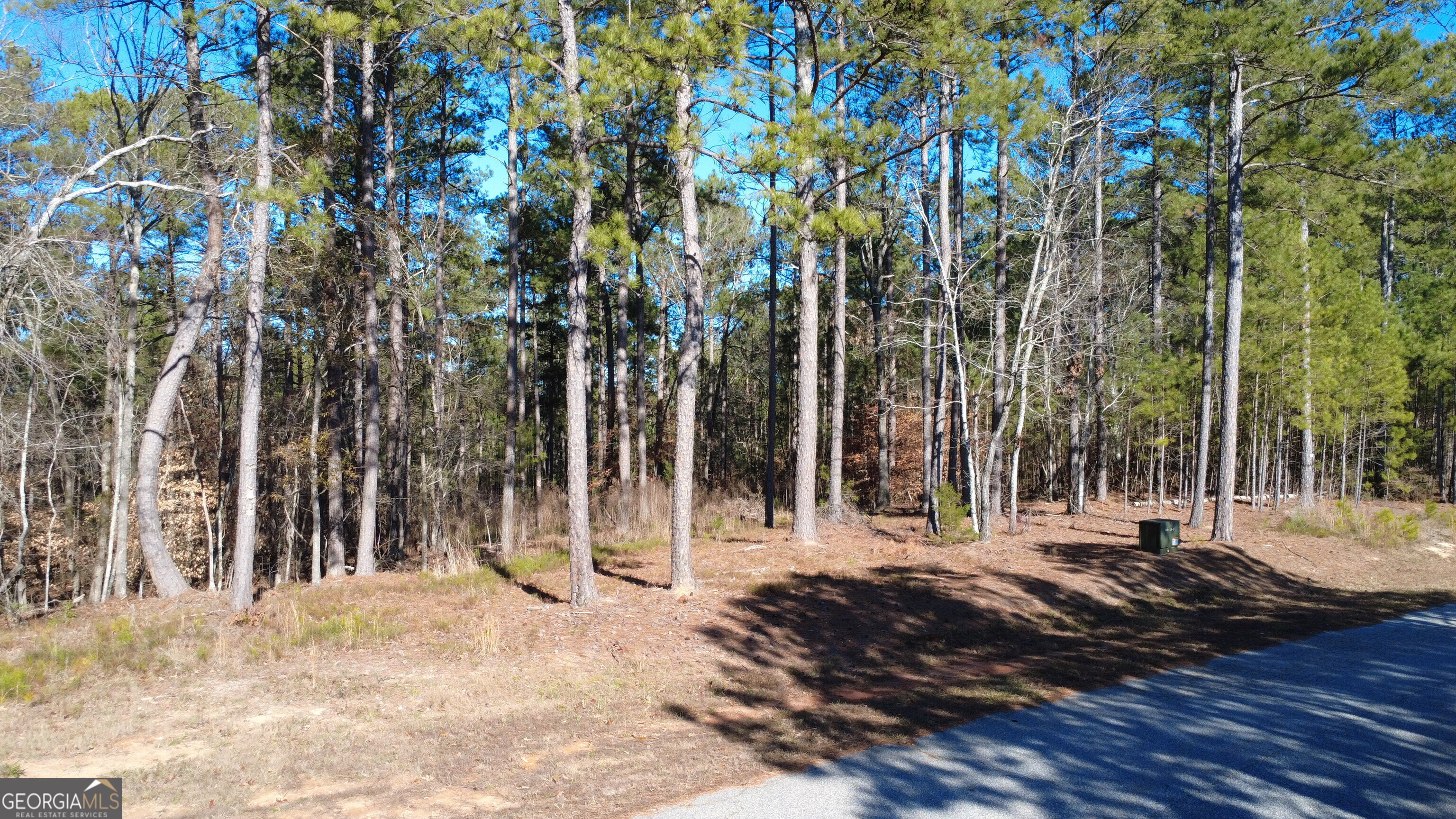 1051 Bluff Road Elberton GA 30635