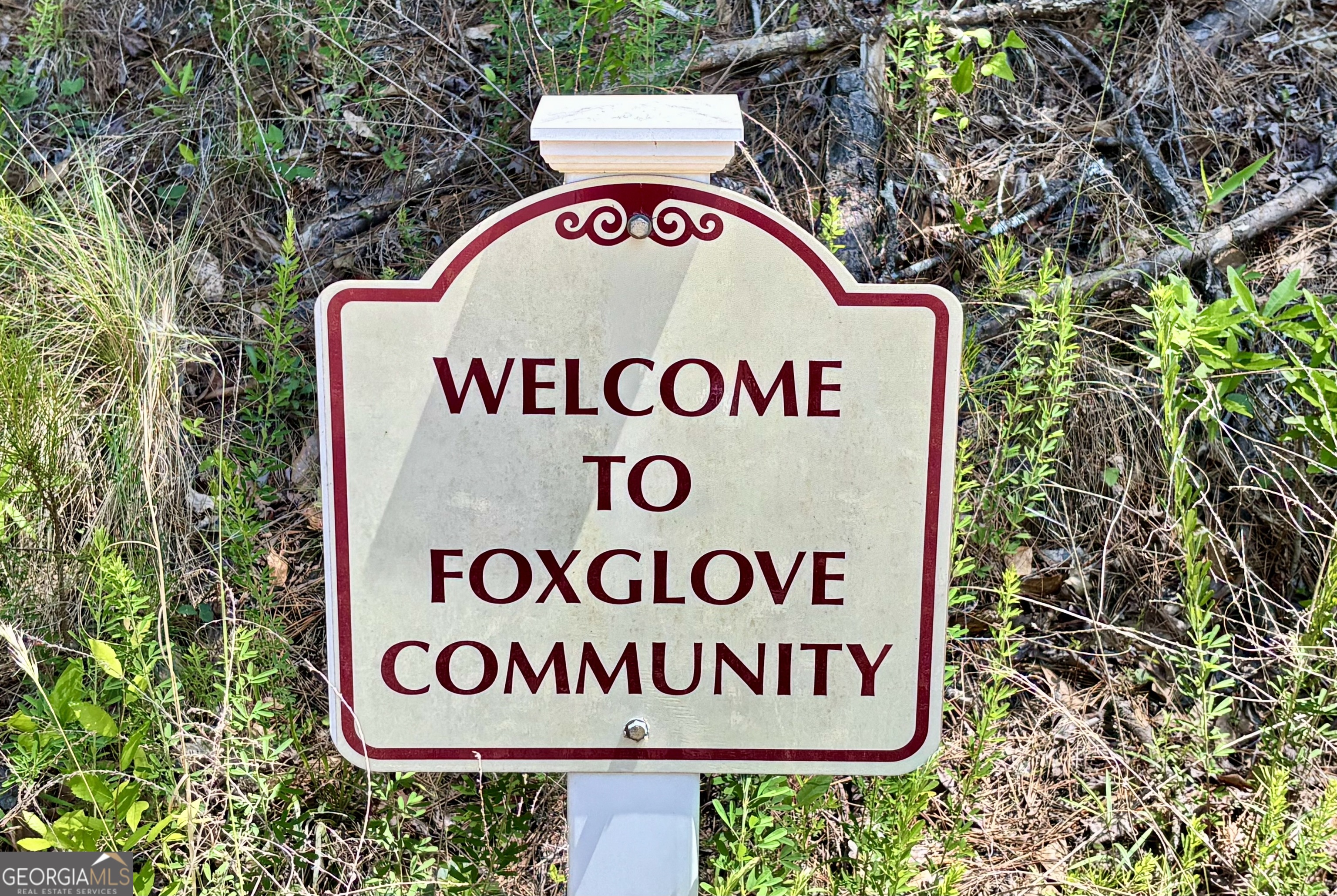 311 Foxglove Drive Sparta GA 31087