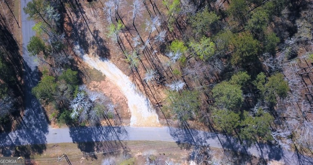 311 Foxglove Drive Sparta GA 31087