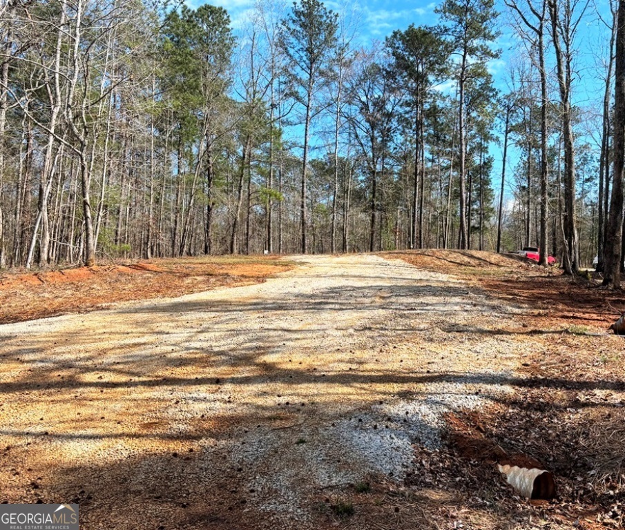 311 Foxglove Drive Sparta GA 31087