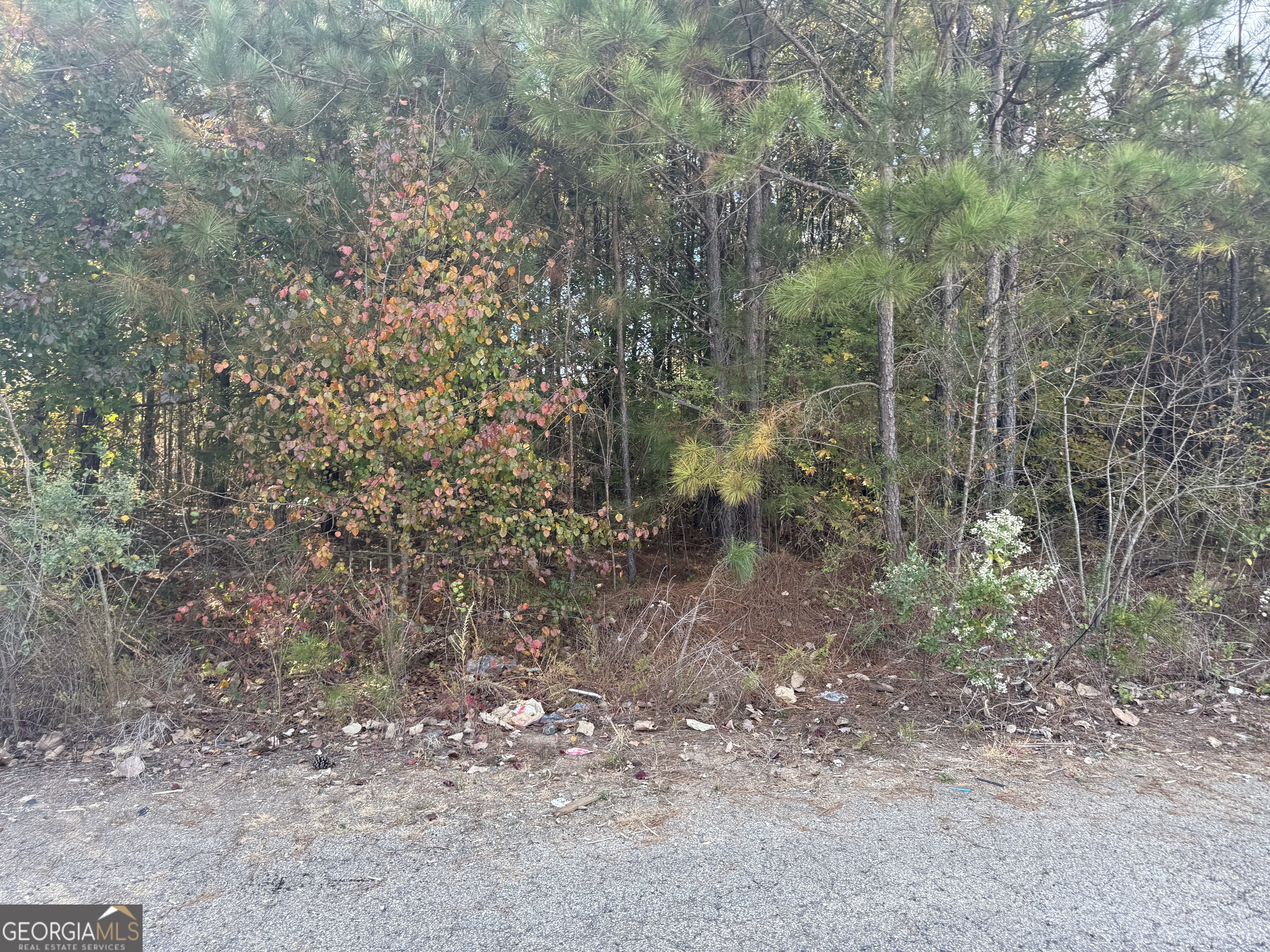 8640 Webb Road Riverdale GA 30274