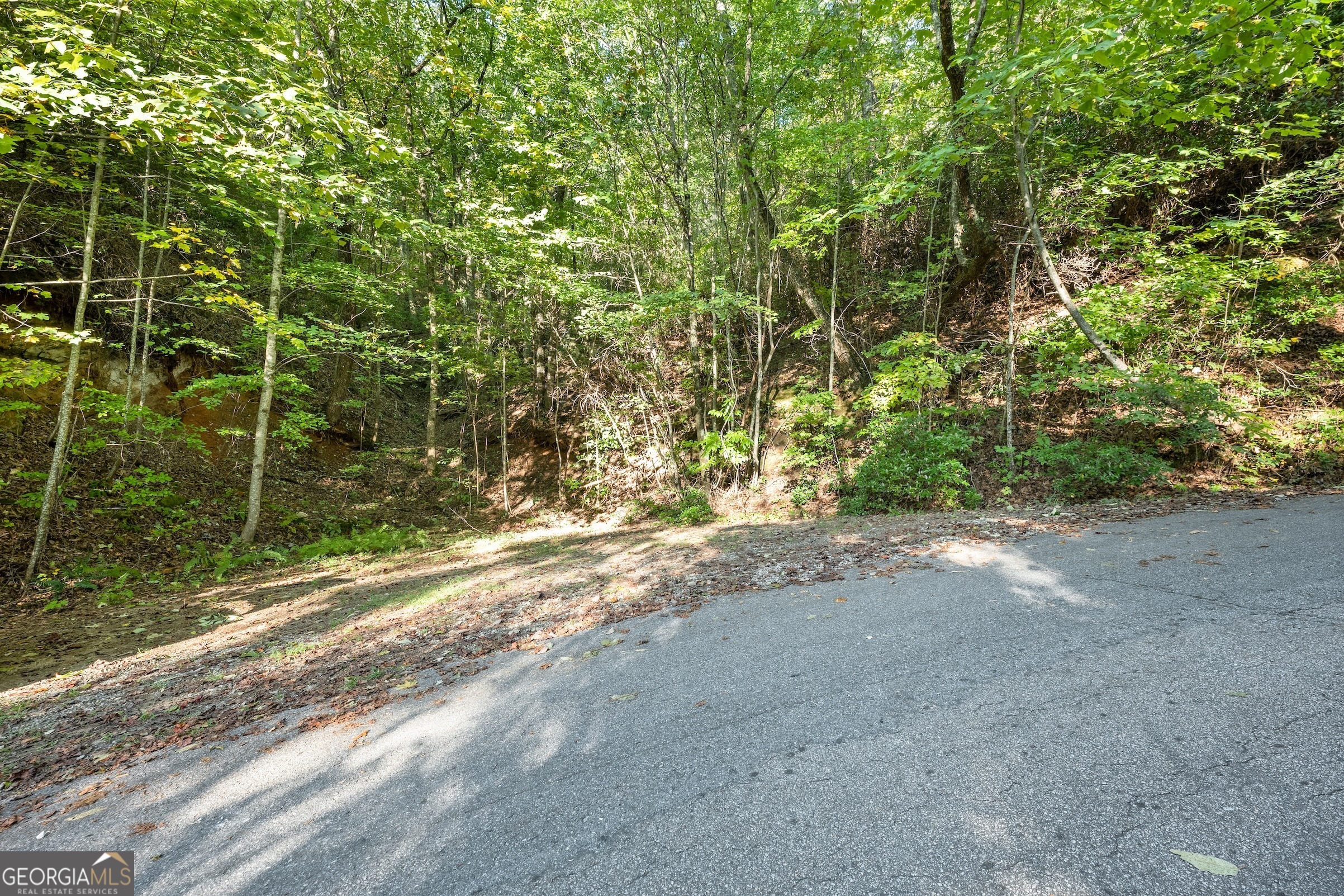 0 Daybreak Road Cleveland GA 30528