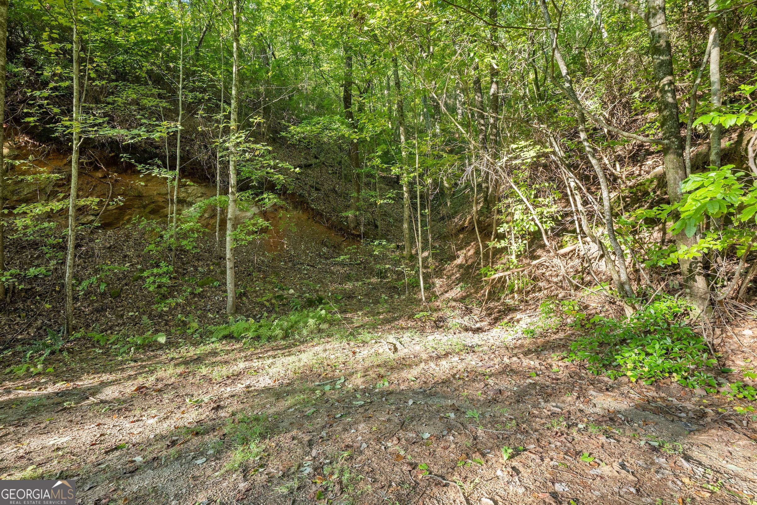 0 Daybreak Road Cleveland GA 30528