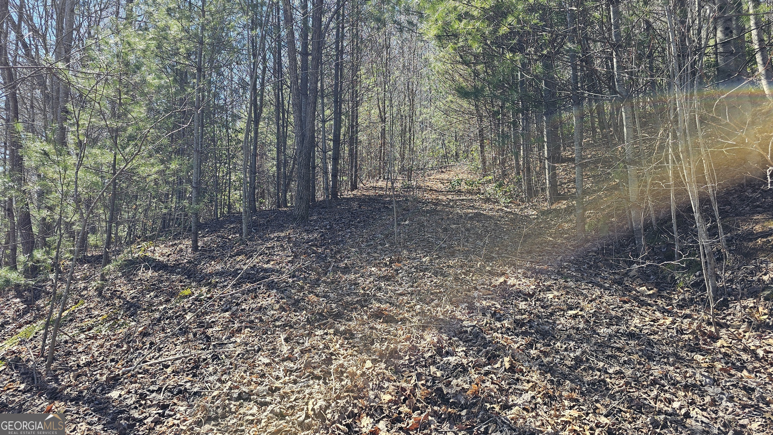0 Saddleback Circle Sky Valley GA 30537