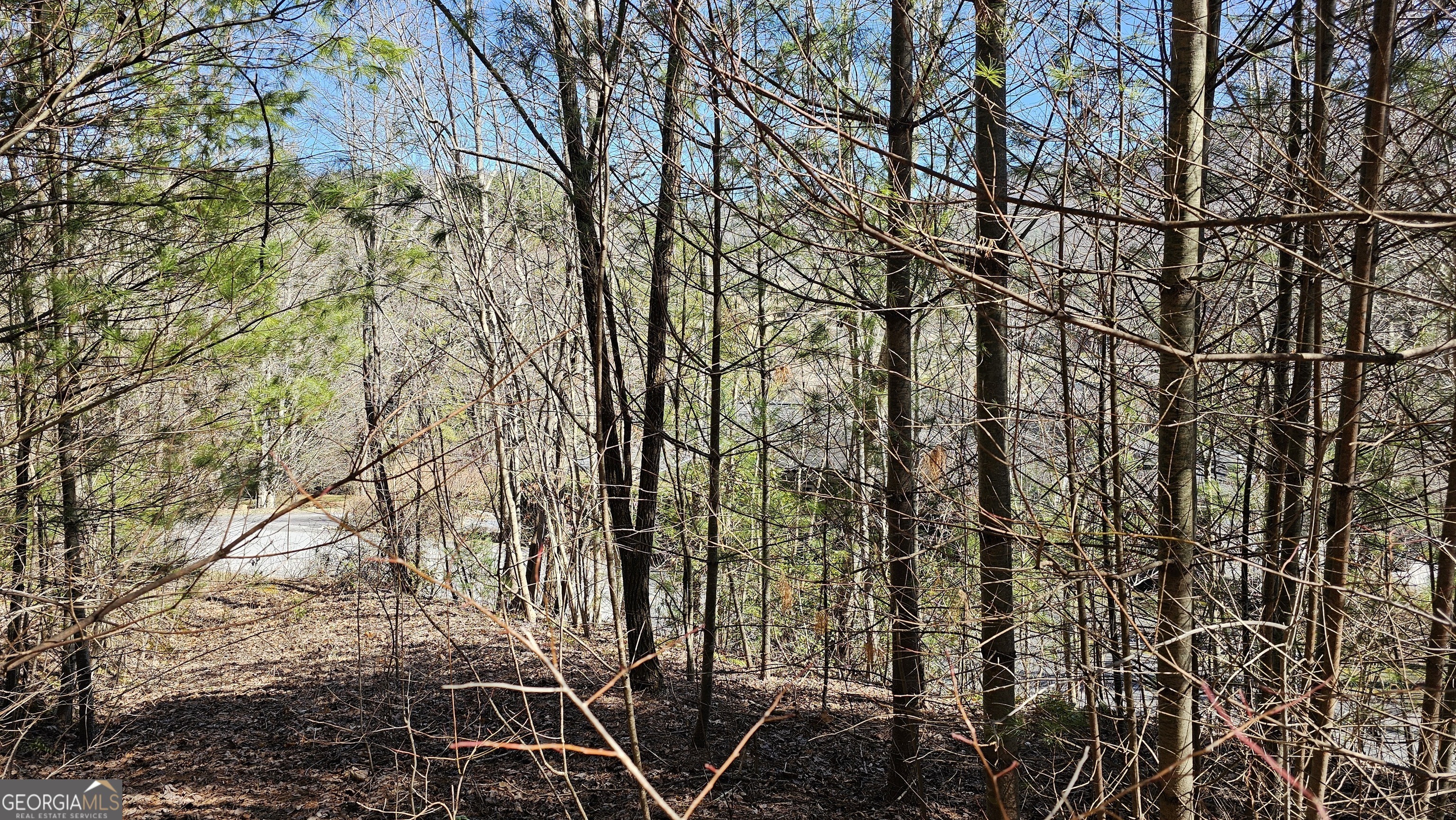 0 Saddleback Circle Sky Valley GA 30537