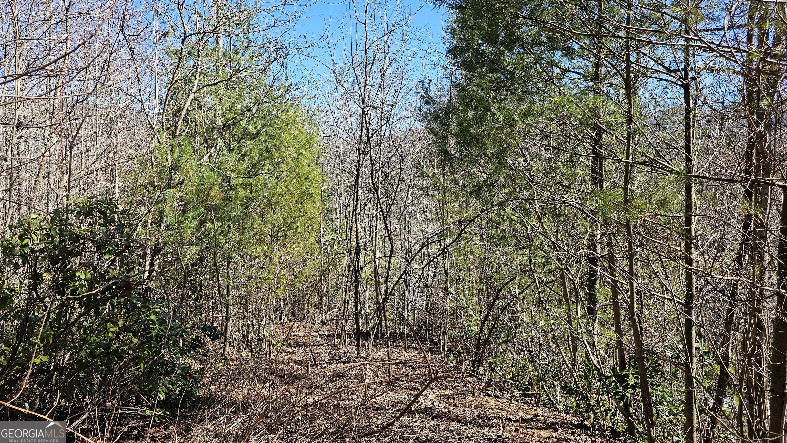0 Saddleback Circle Sky Valley GA 30537