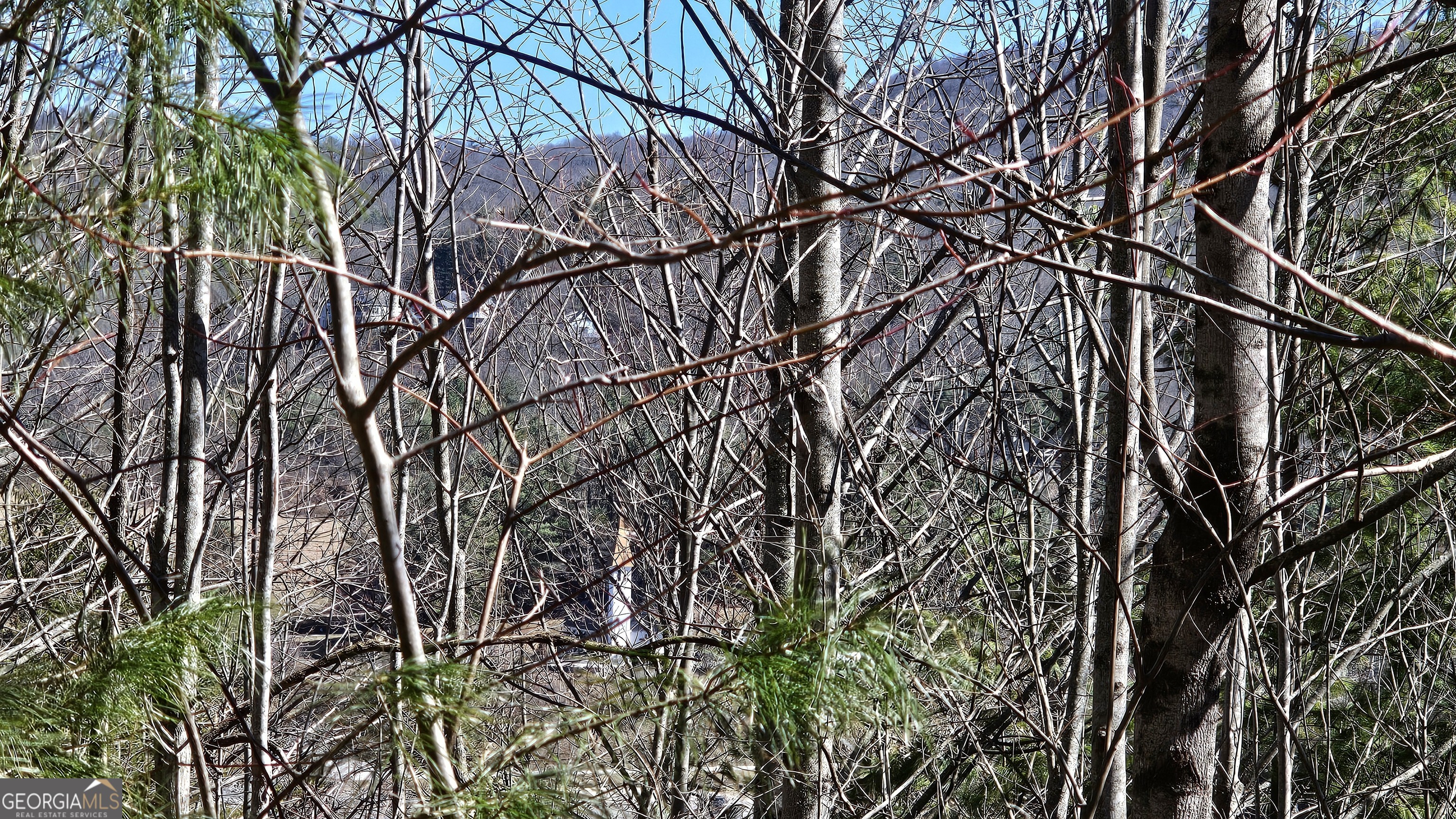 0 Saddleback Circle Sky Valley GA 30537