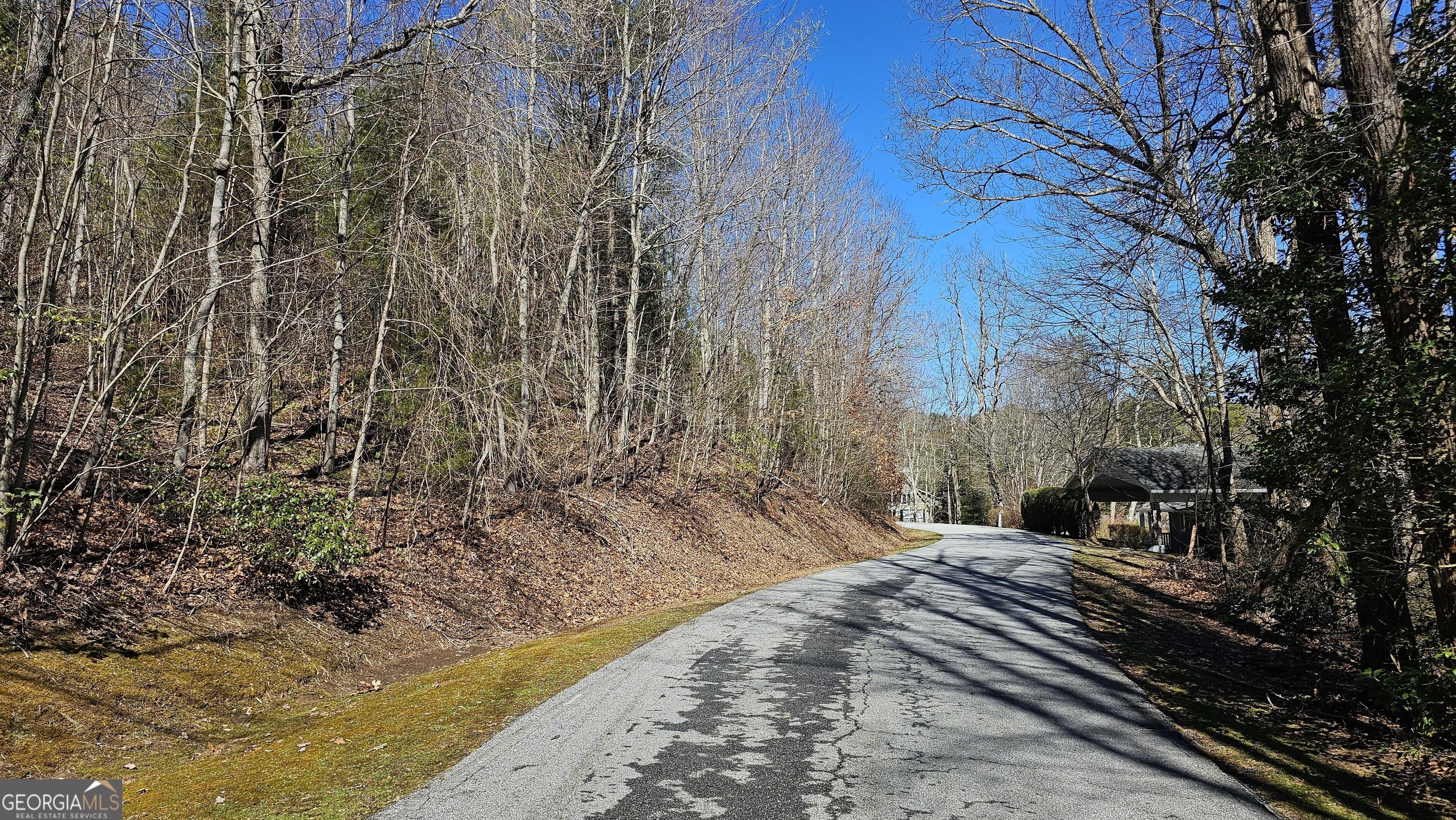 0 Saddleback Circle Sky Valley GA 30537