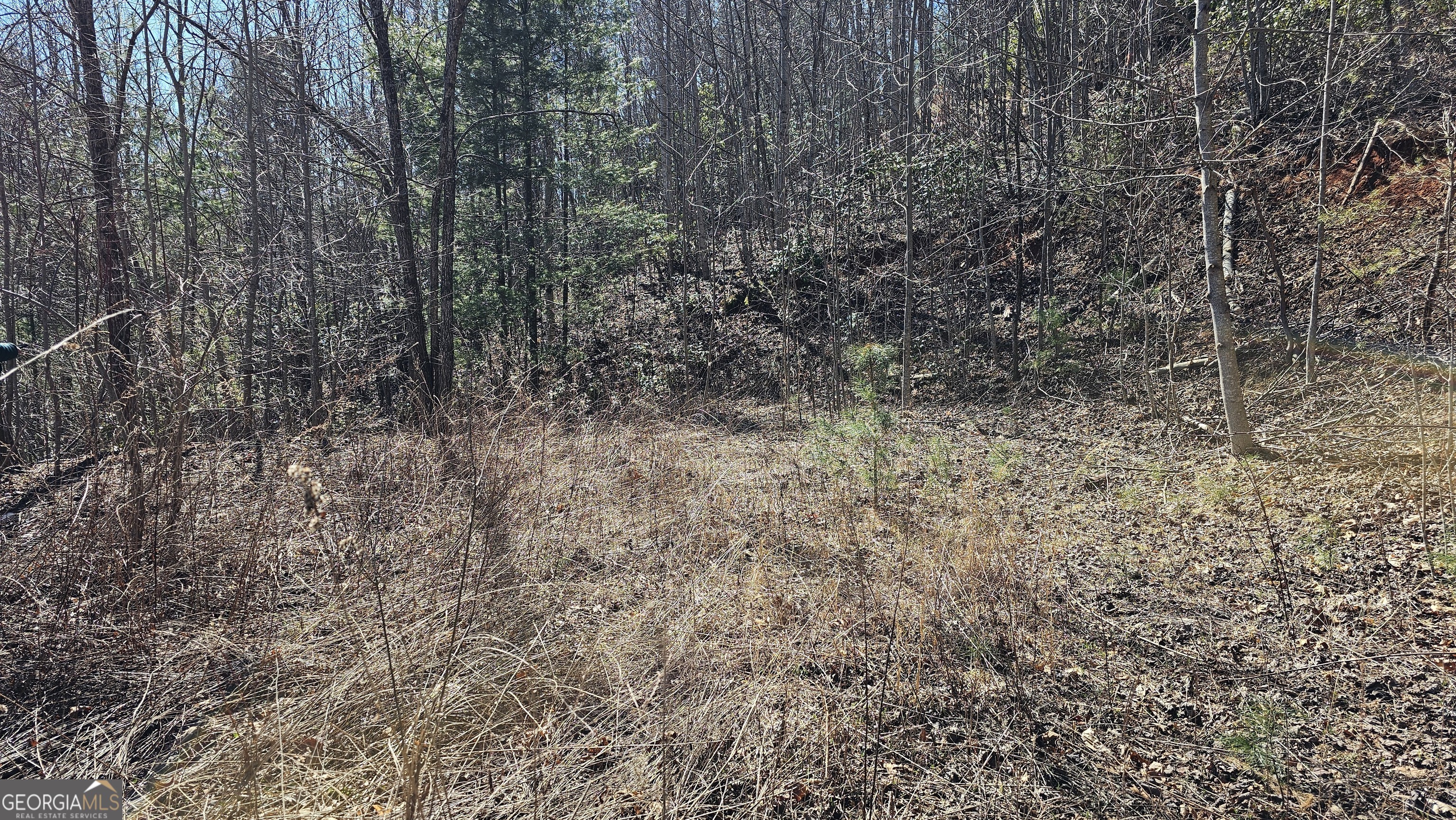 0 Saddleback Circle Sky Valley GA 30537