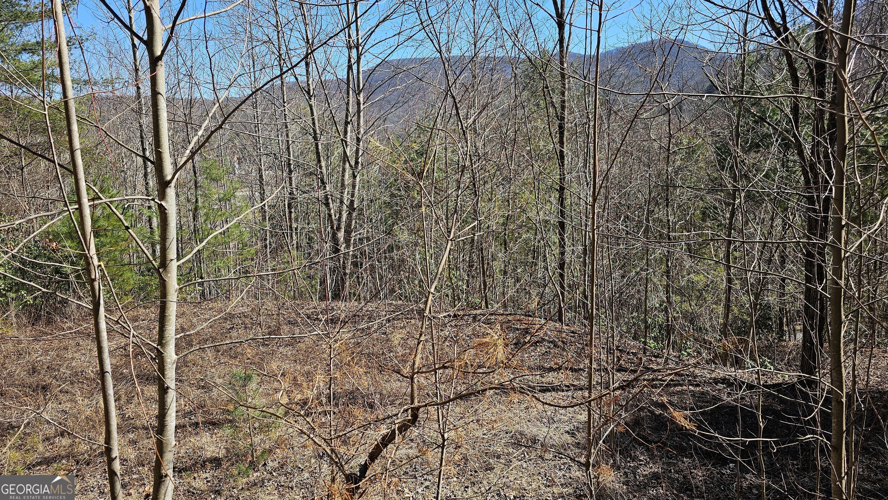 0 Saddleback Circle Sky Valley GA 30537