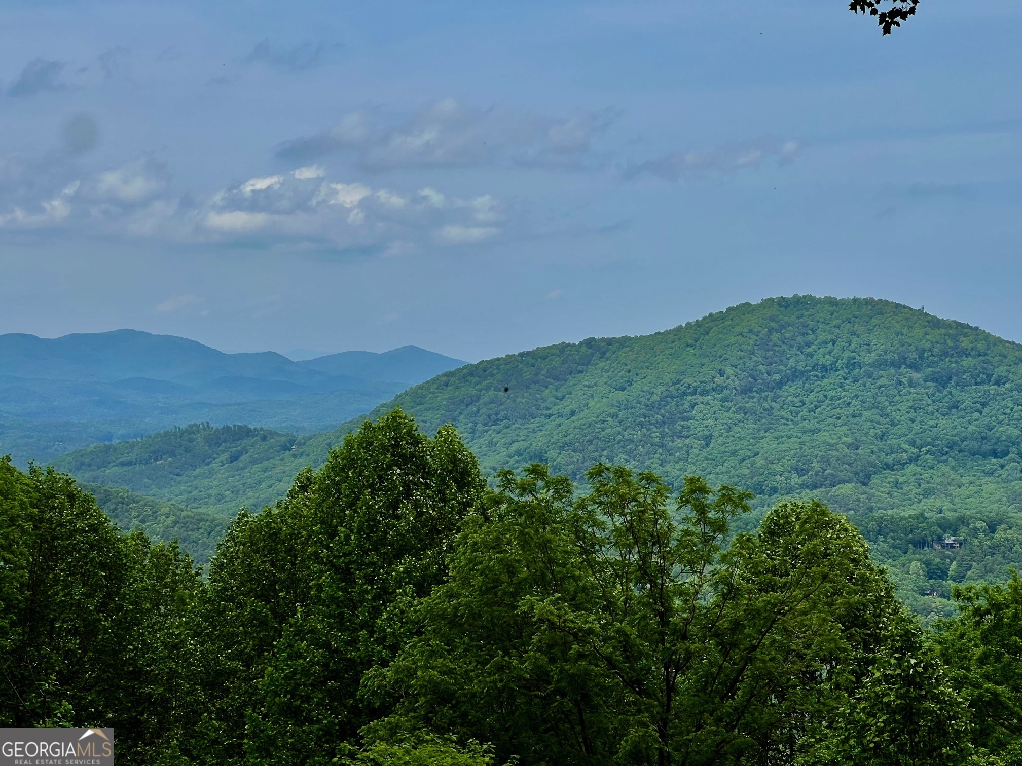 M164 Walnut Ridge Ellijay GA 30536