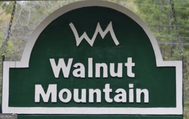 M164 Walnut Ridge Ellijay GA 30536
