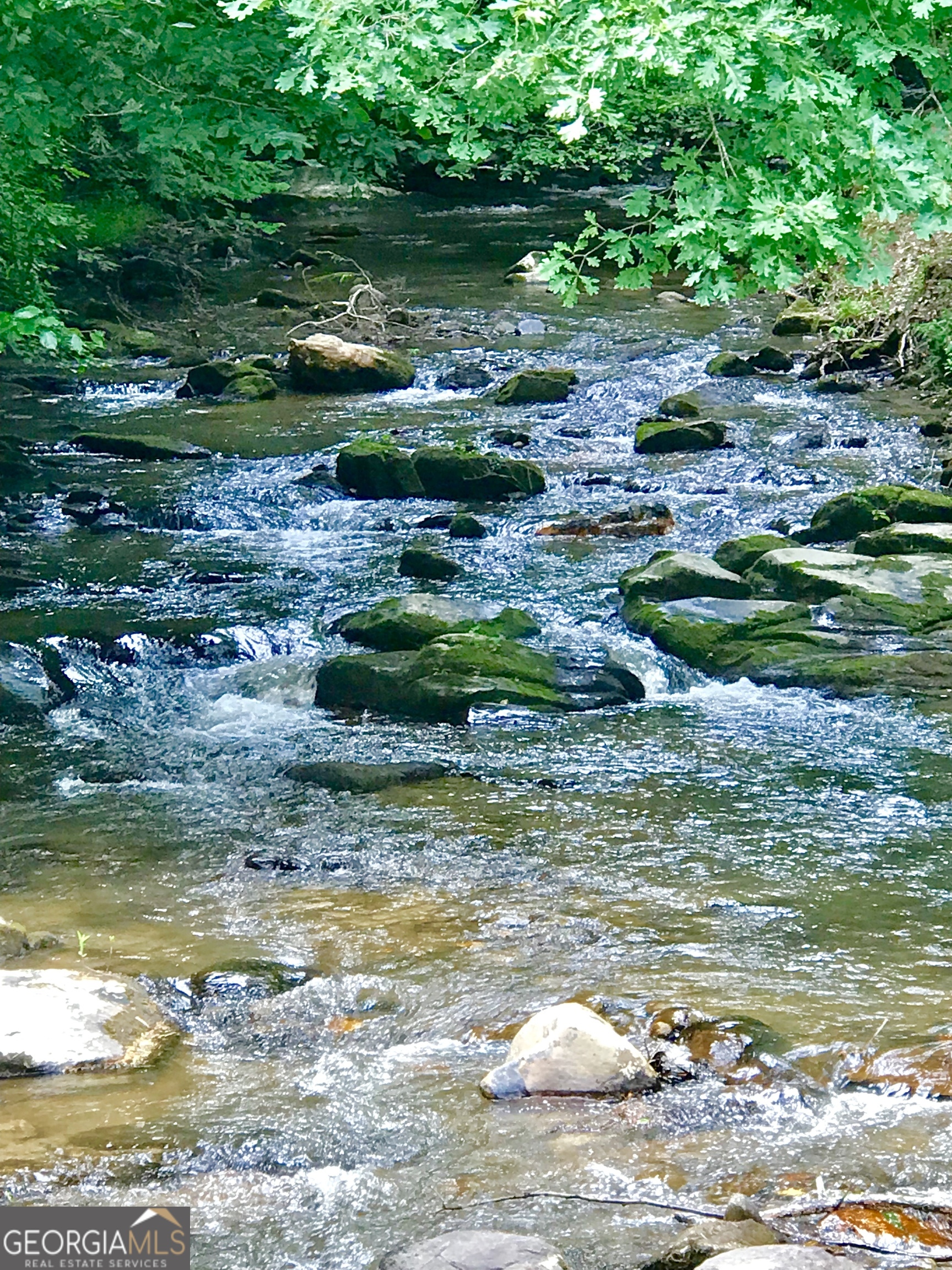 M164 Walnut Ridge Ellijay GA 30536