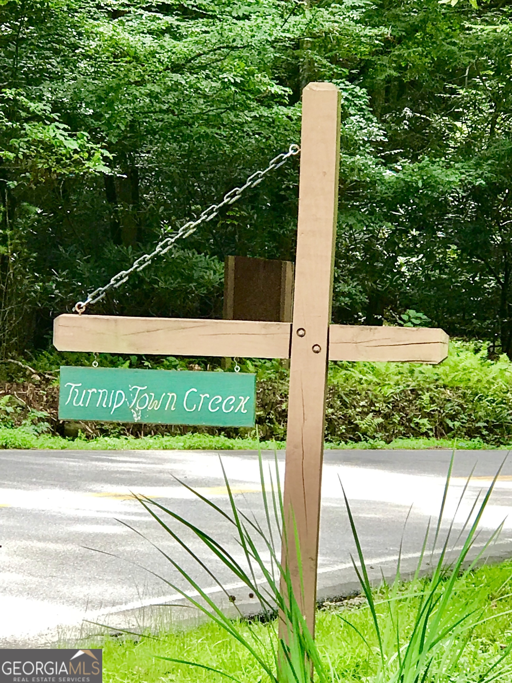 M164 Walnut Ridge Ellijay GA 30536