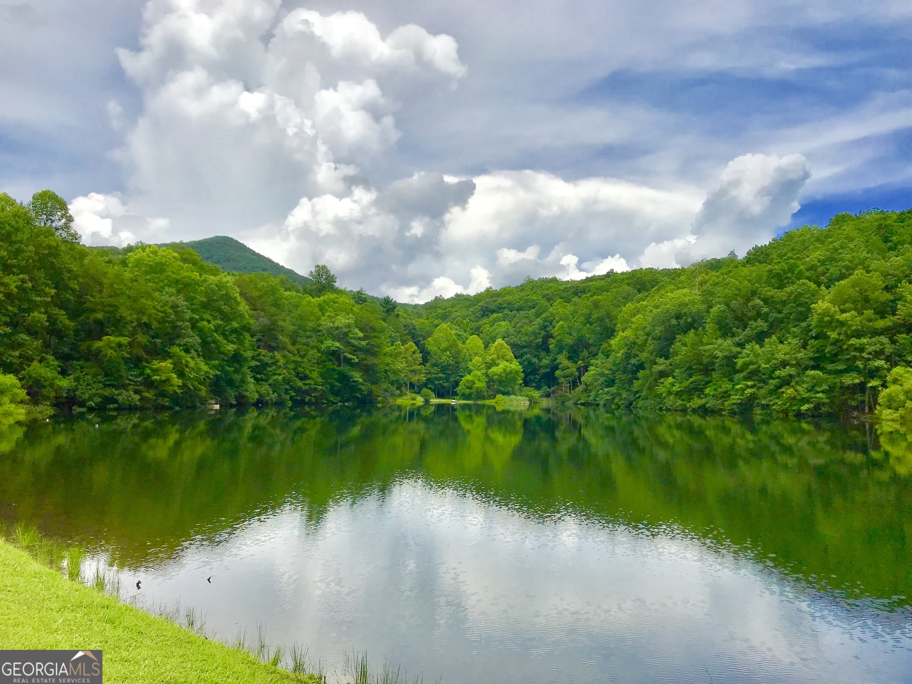 M164 Walnut Ridge Ellijay GA 30536