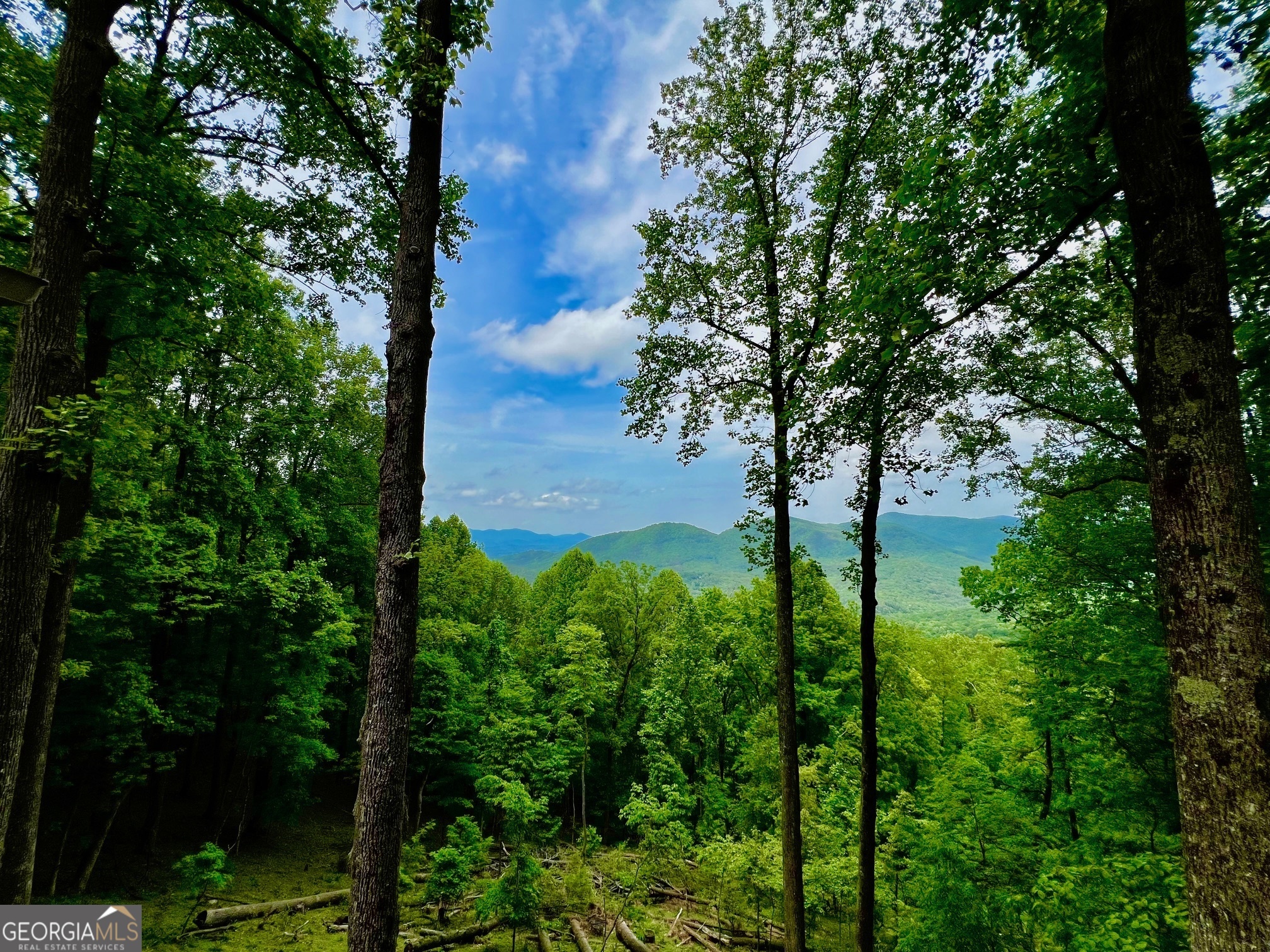 M164 Walnut Ridge Ellijay GA 30536