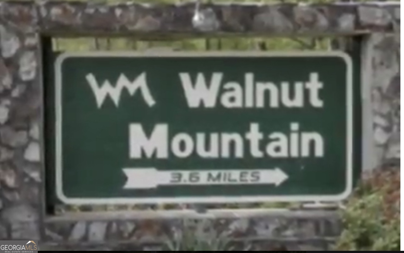 M164 Walnut Ridge Ellijay GA 30536