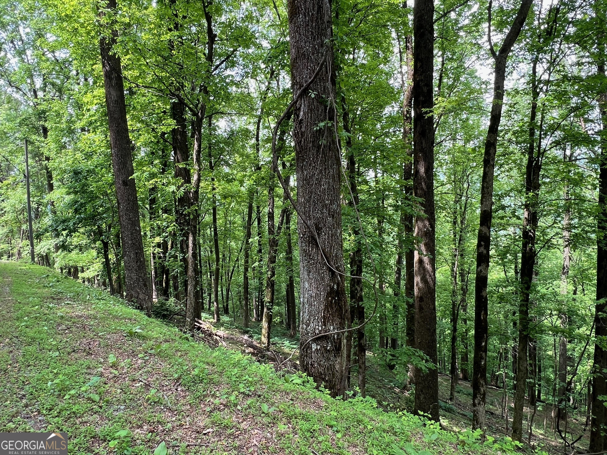 M164 Walnut Ridge Ellijay GA 30536