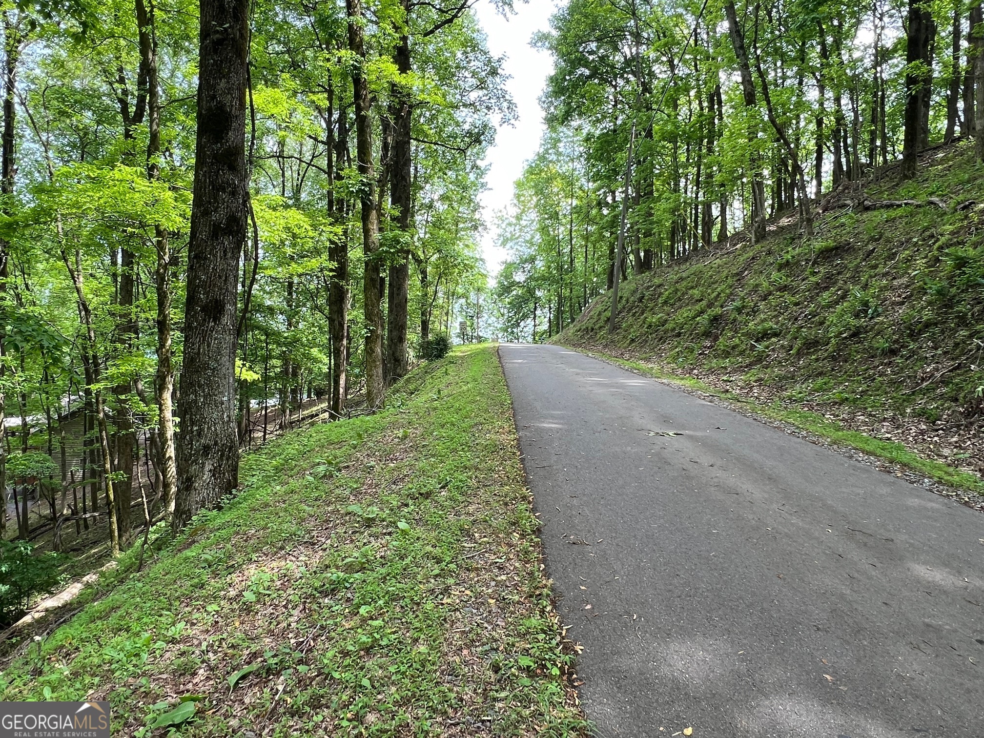 M164 Walnut Ridge Ellijay GA 30536