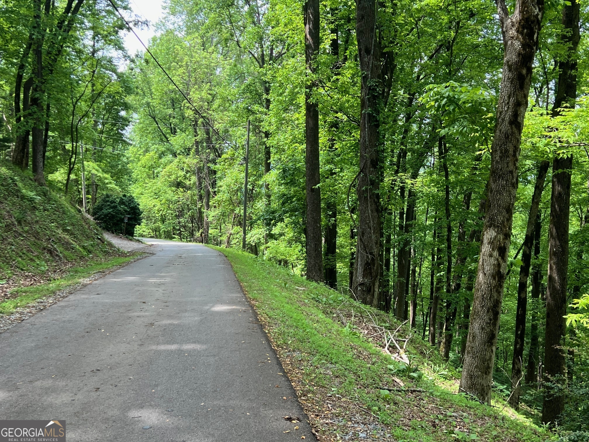 M164 Walnut Ridge Ellijay GA 30536