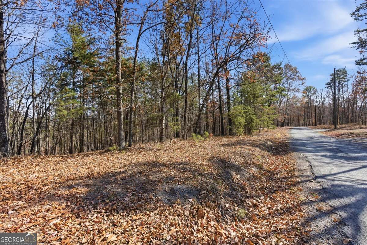 1166 Hunter Drive Ranger GA 30734