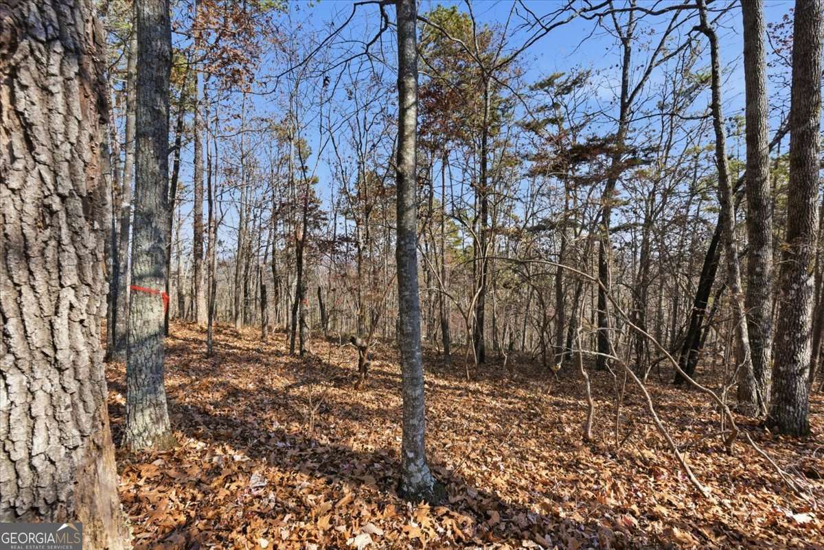 1166 Hunter Drive Ranger GA 30734