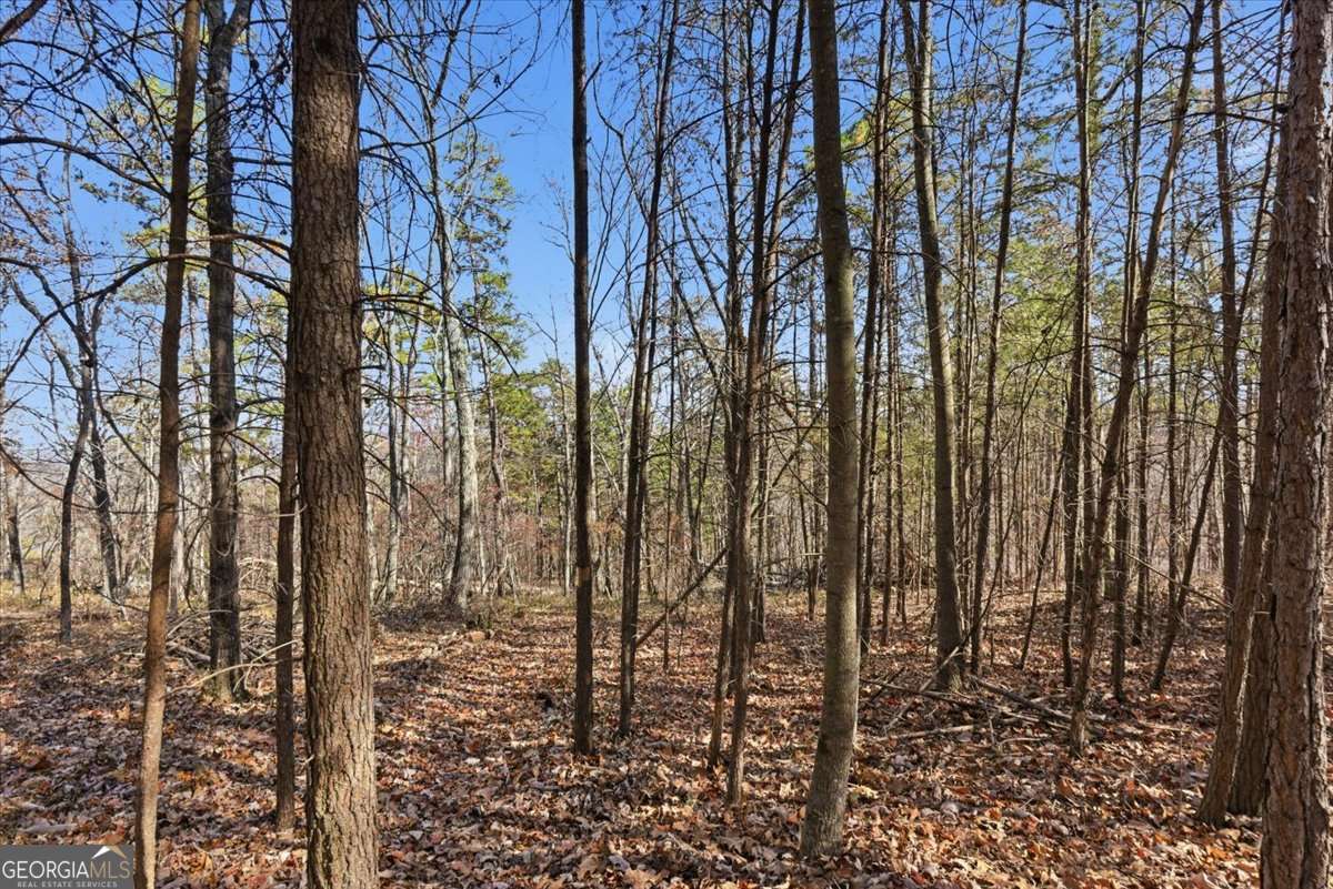 1166 Hunter Drive Ranger GA 30734