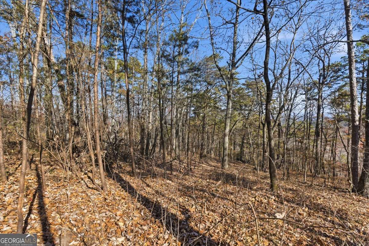 1166 Hunter Drive Ranger GA 30734